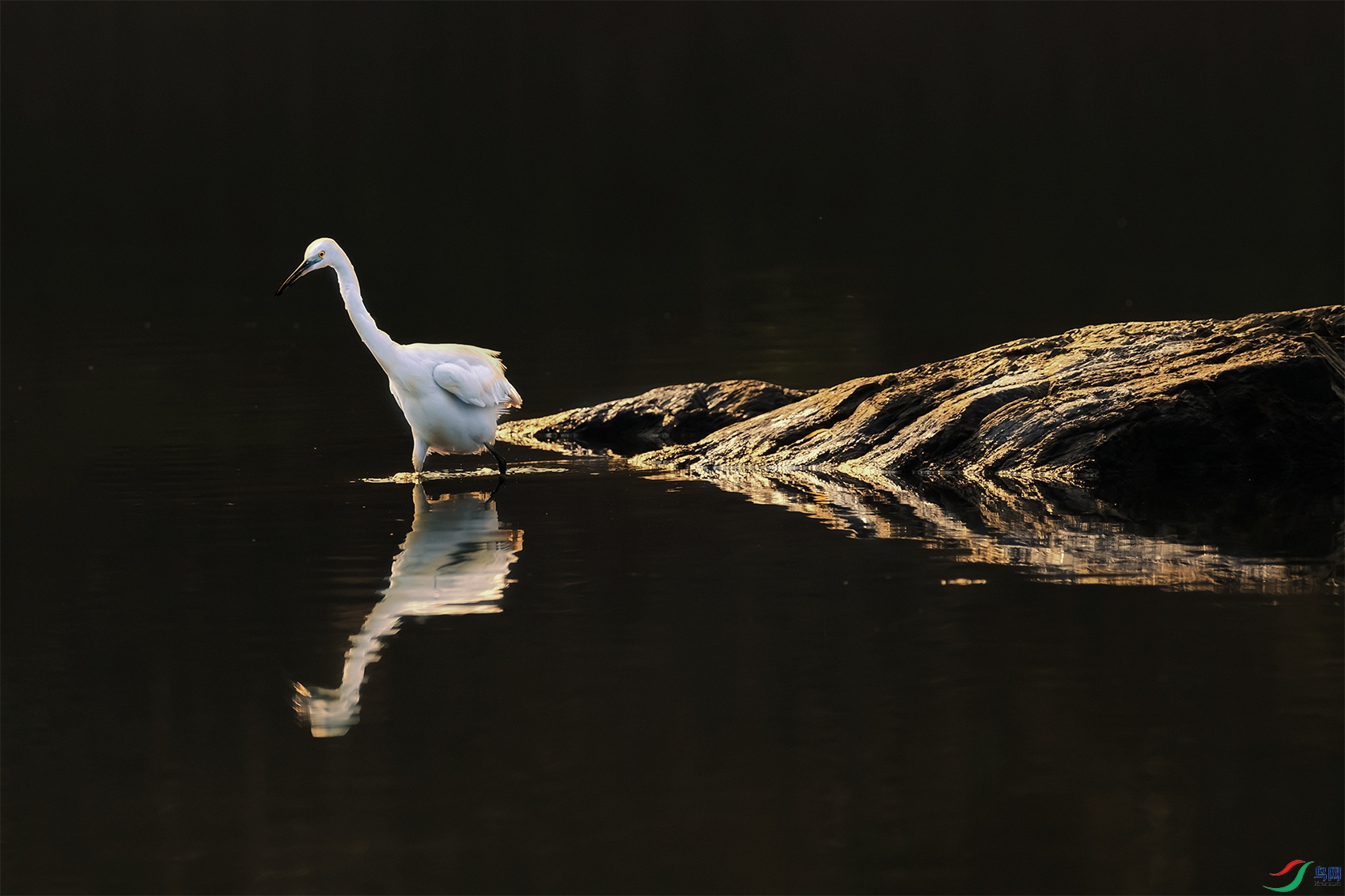 ����----̽��