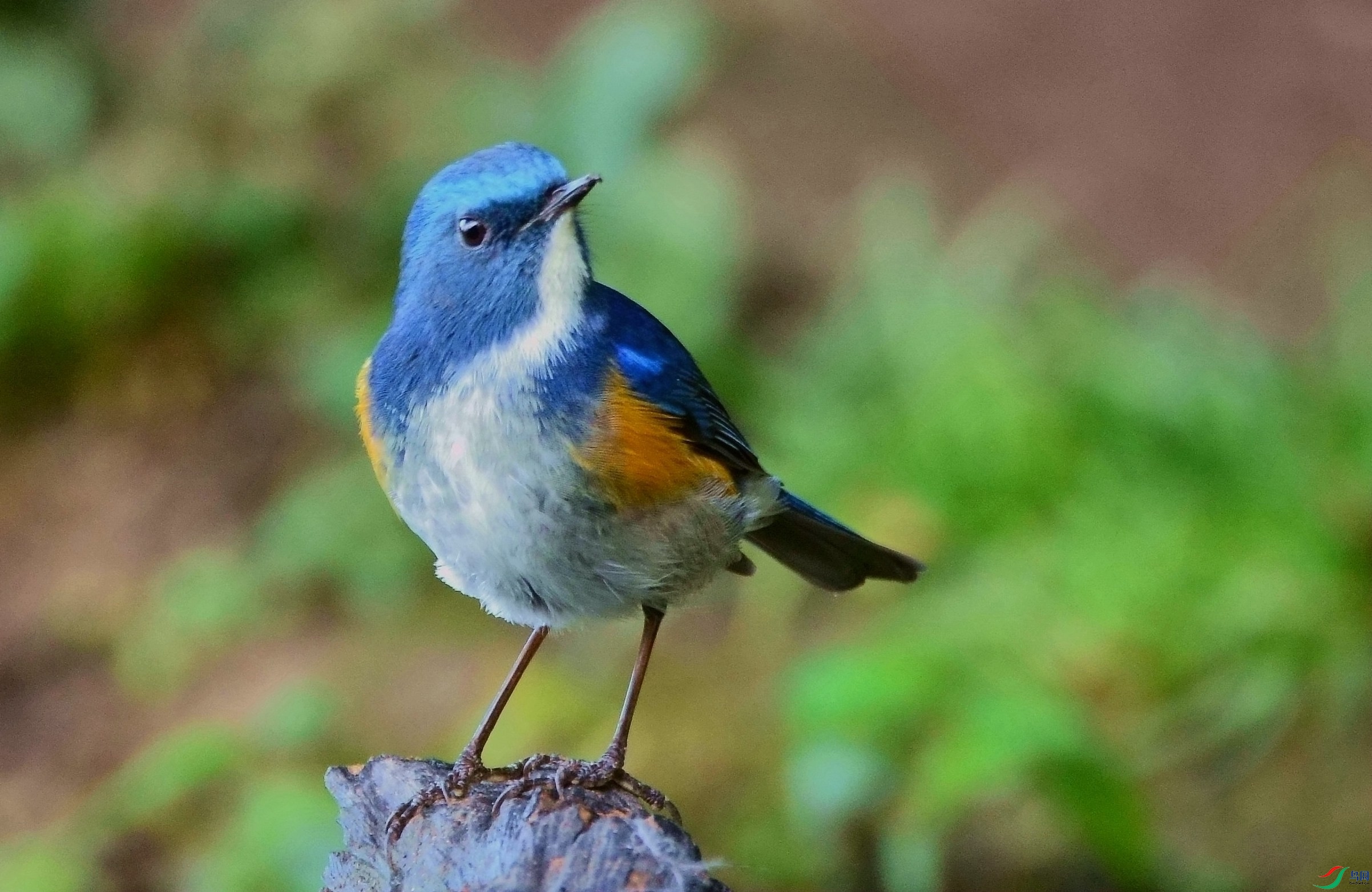 DSC_8567.JPG