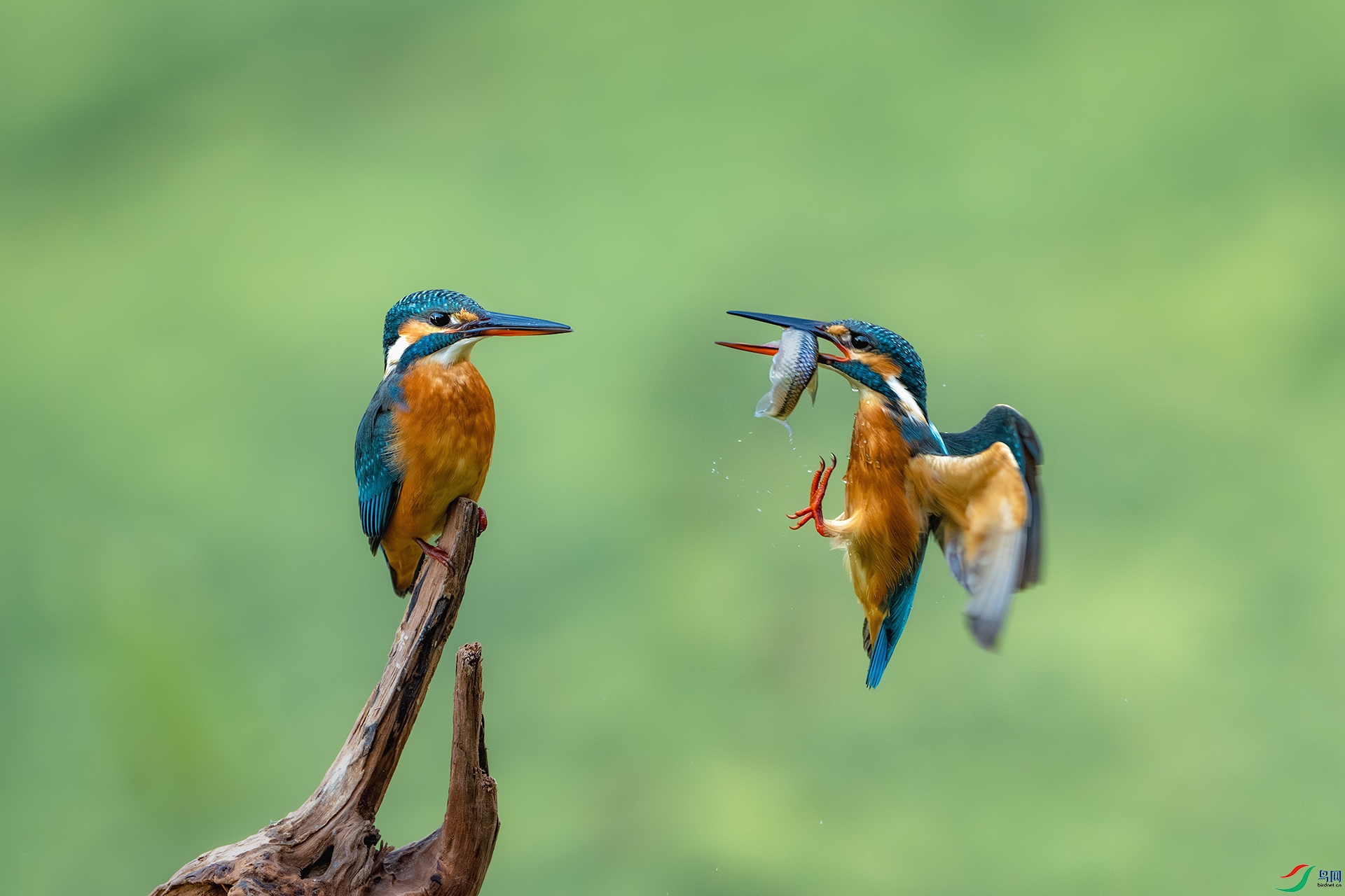 _DSC0493-����ǿ-NR ����IС.jpg