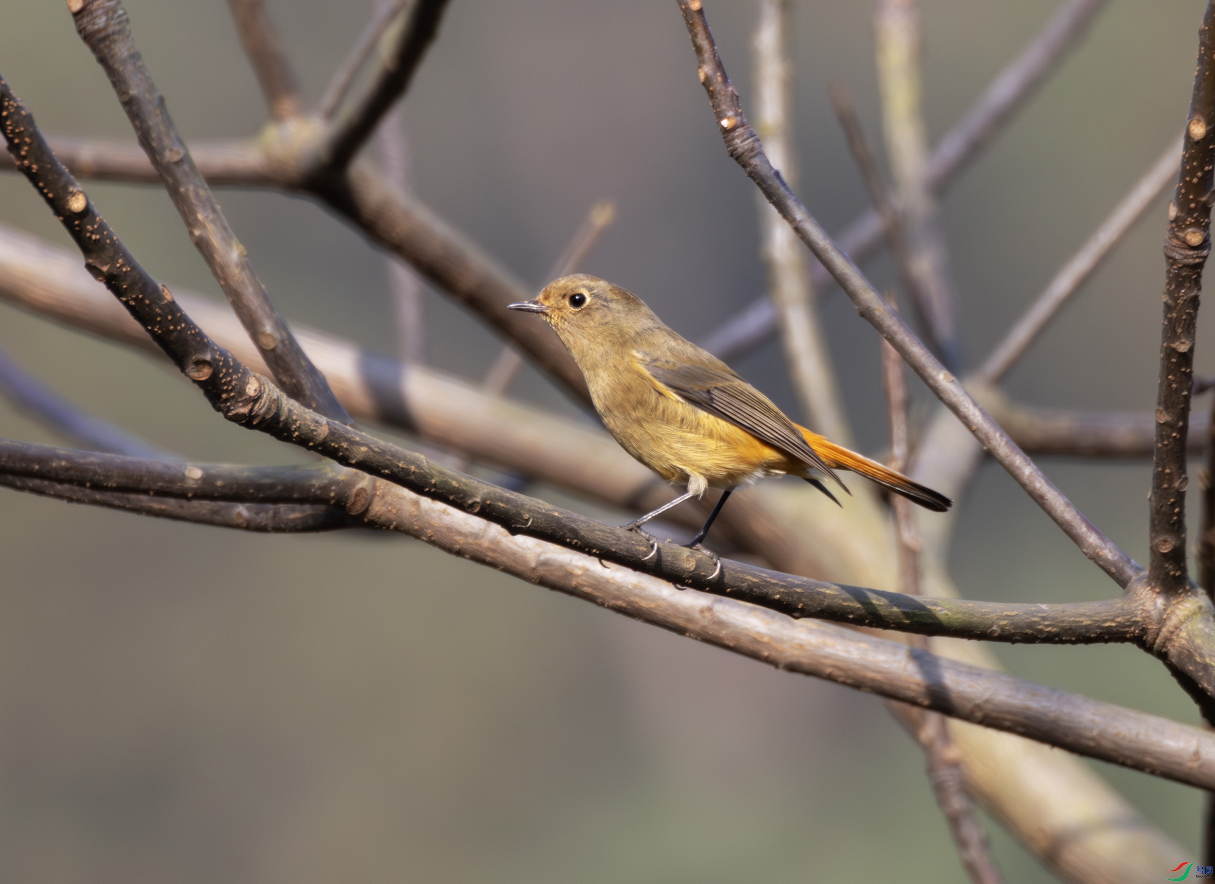 2I1A0098-����ǿ-NR ����.jpg