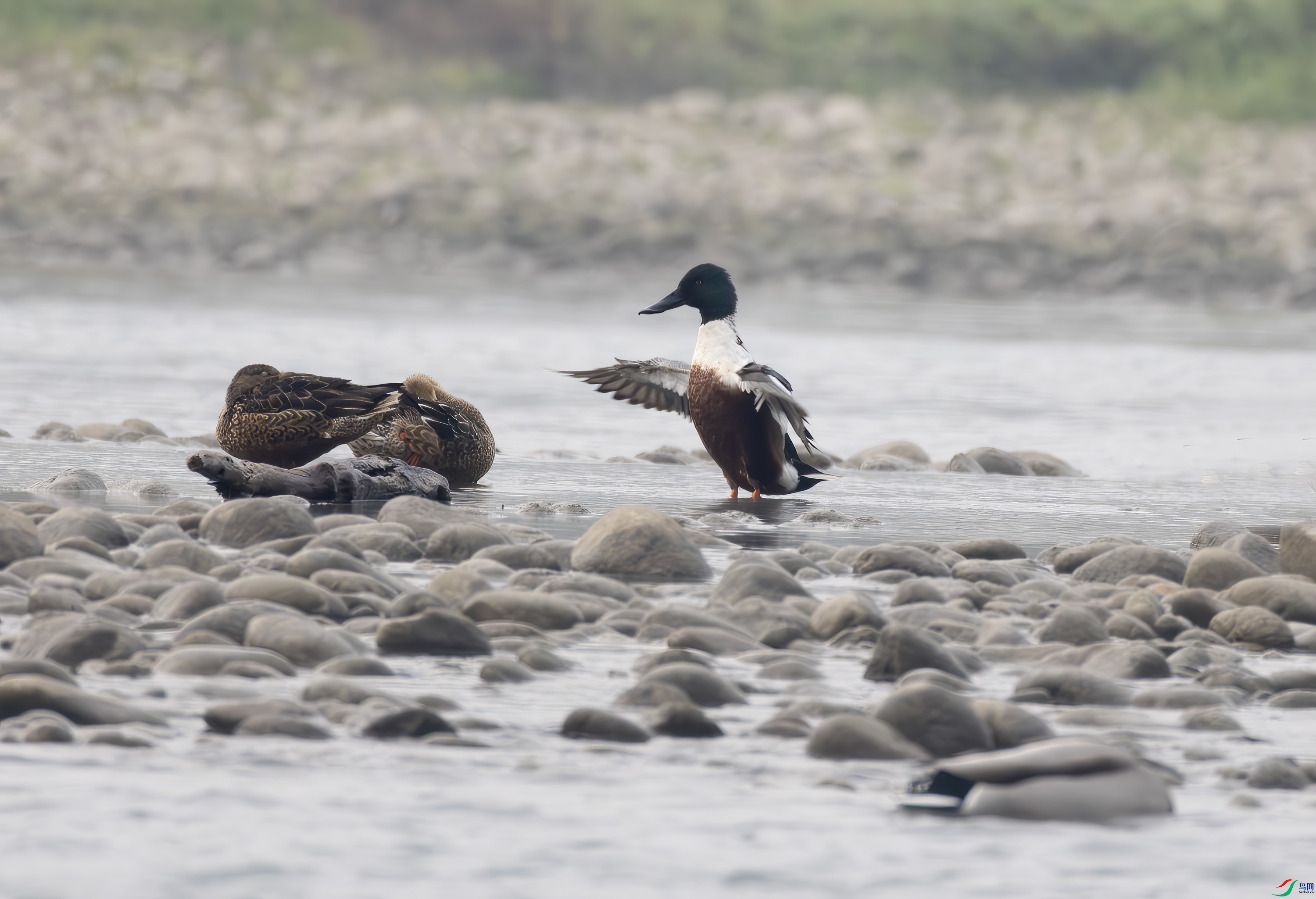 2I1A0841-����ǿ-NR ����.jpg