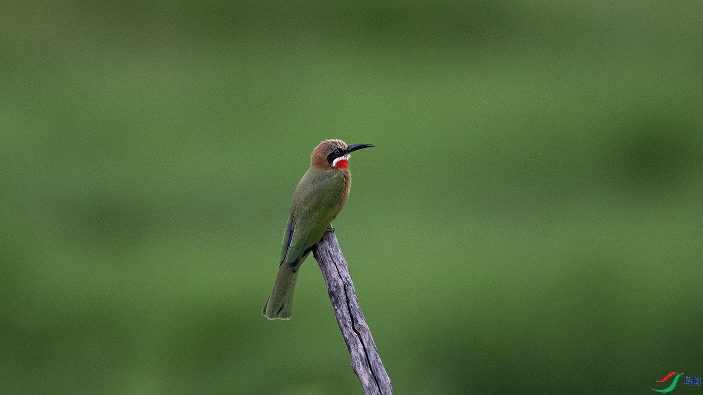 _DSC8522 ����.jpg