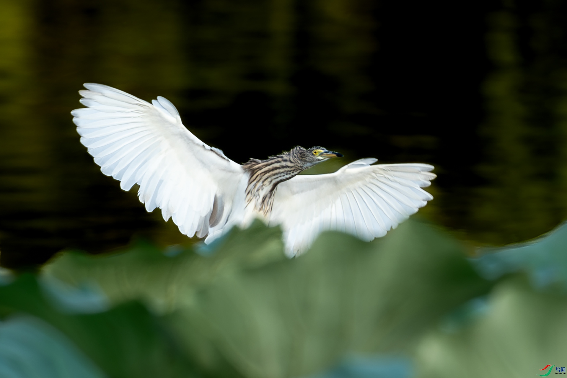 DSC00836-����ǿ-NR ����.jpg