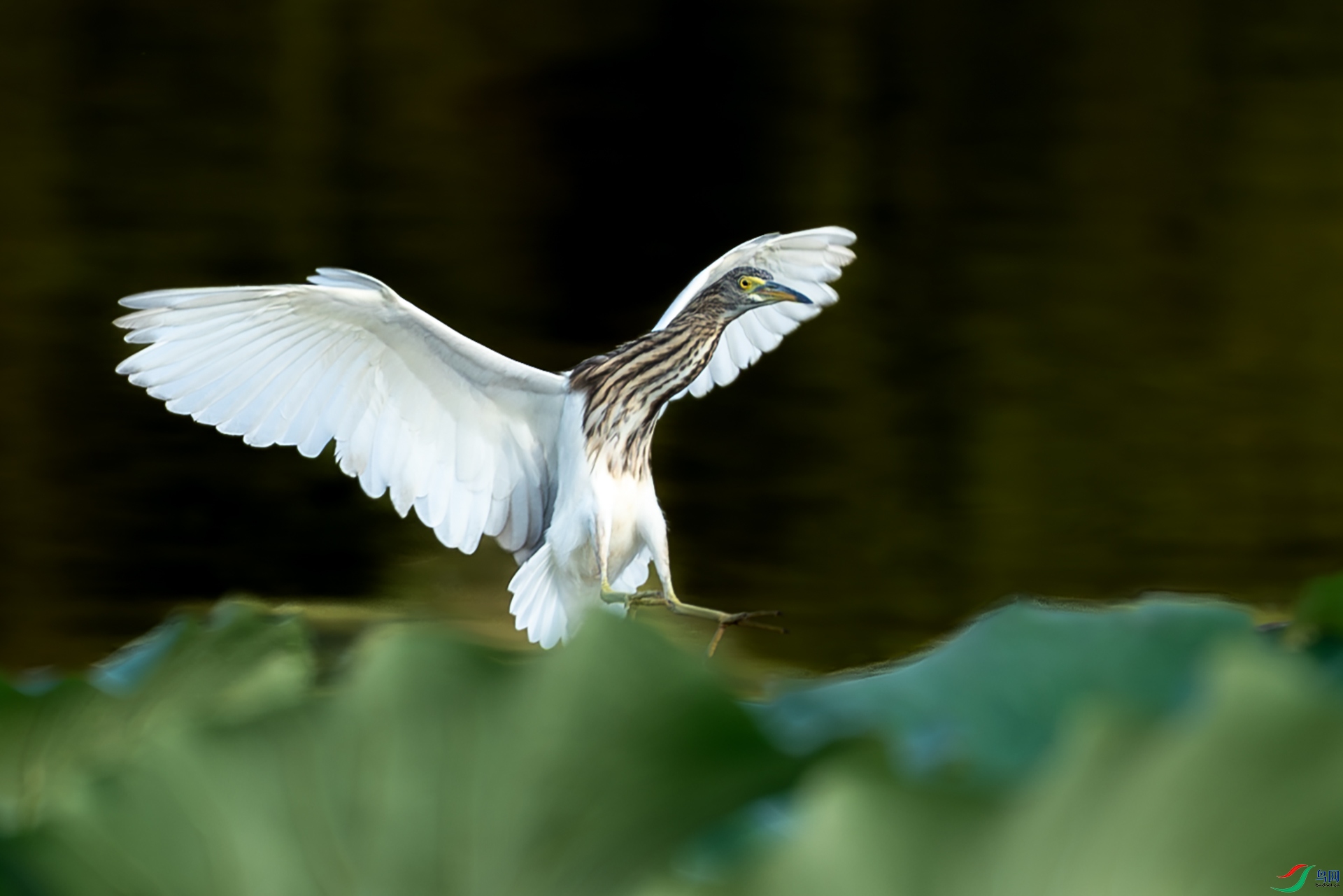 DSC00837-����ǿ-NR-1 ����.jpg