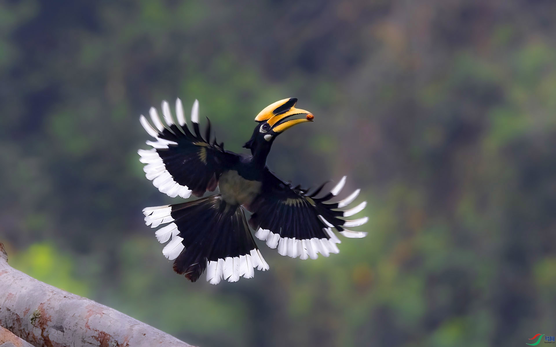 2024-61 ����.jpg