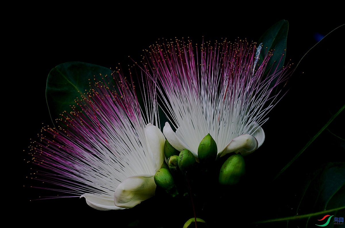 ������ �������̽���.jpg