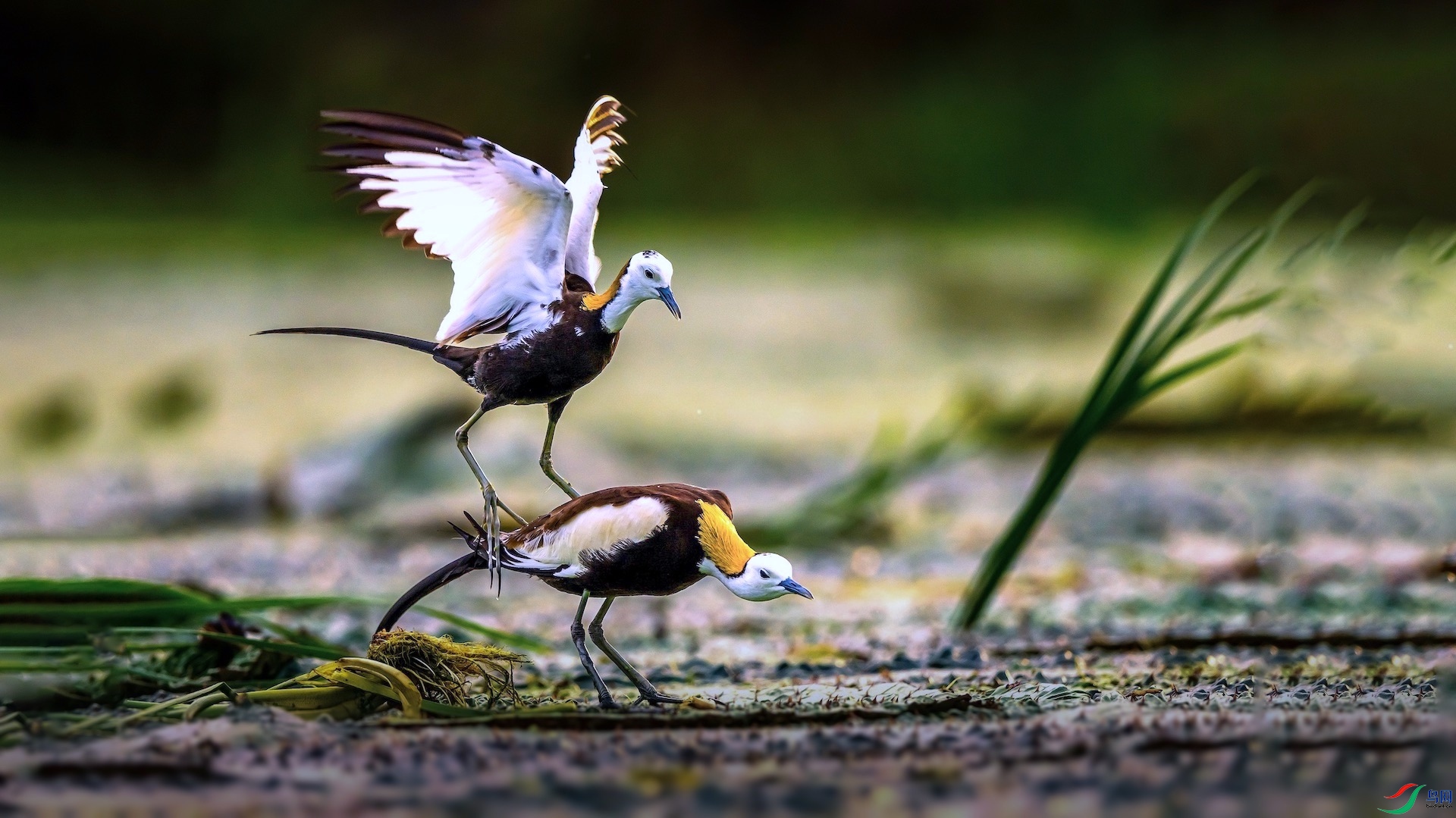 1-3�ĸ��� ����.jpeg