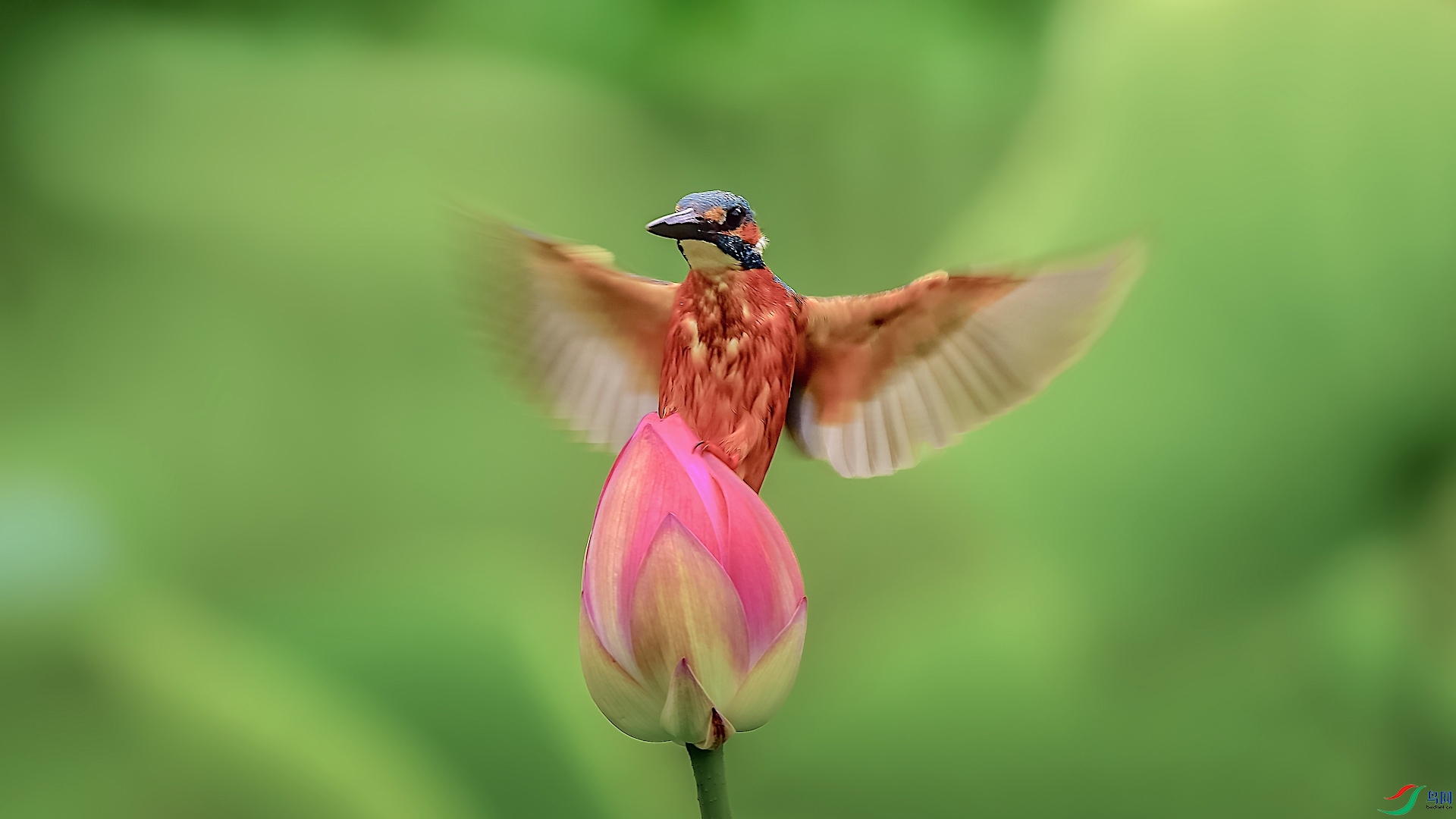 1-2_XXI3879 ����.jpeg