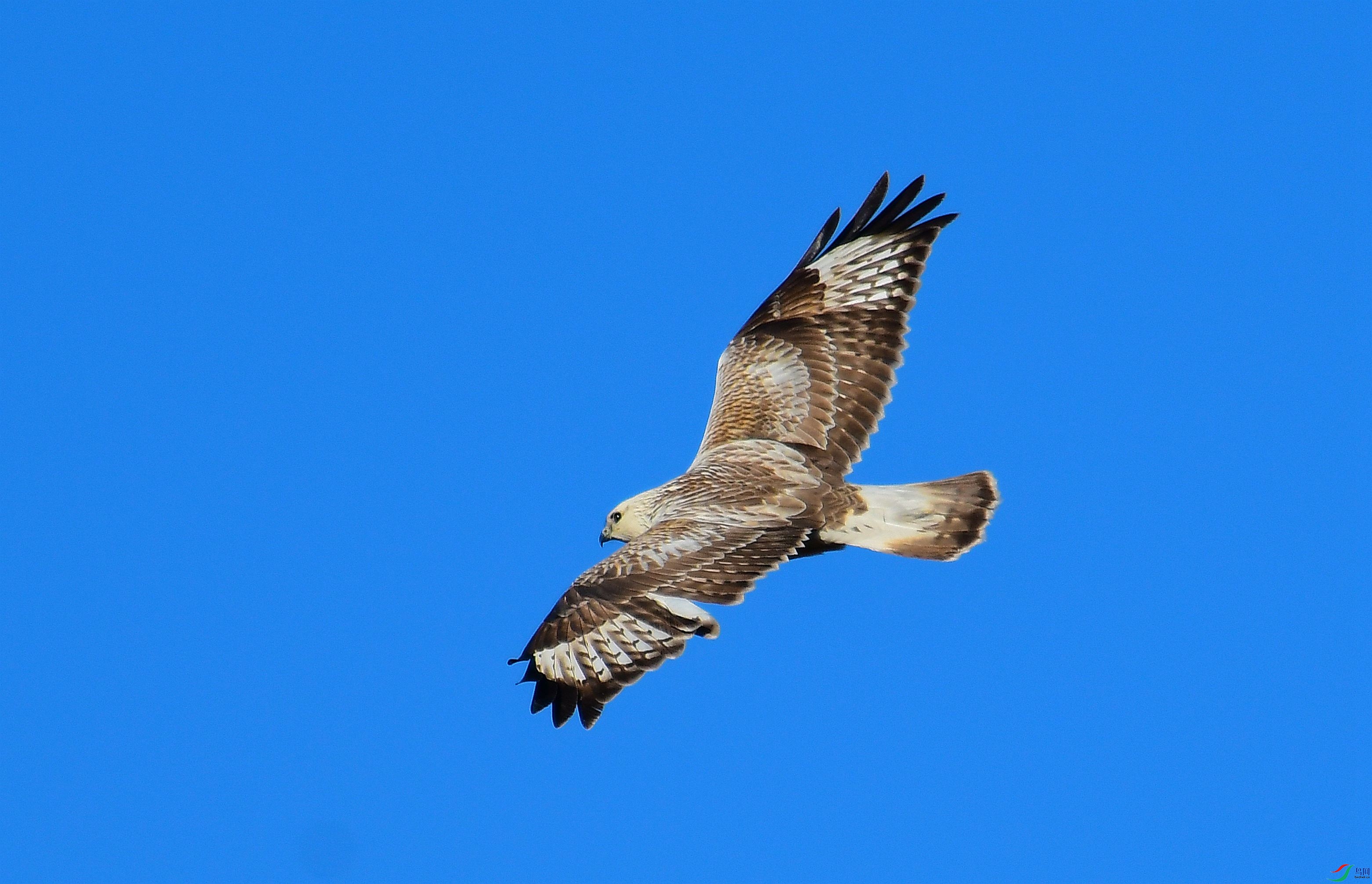 DSC_7664.JPG