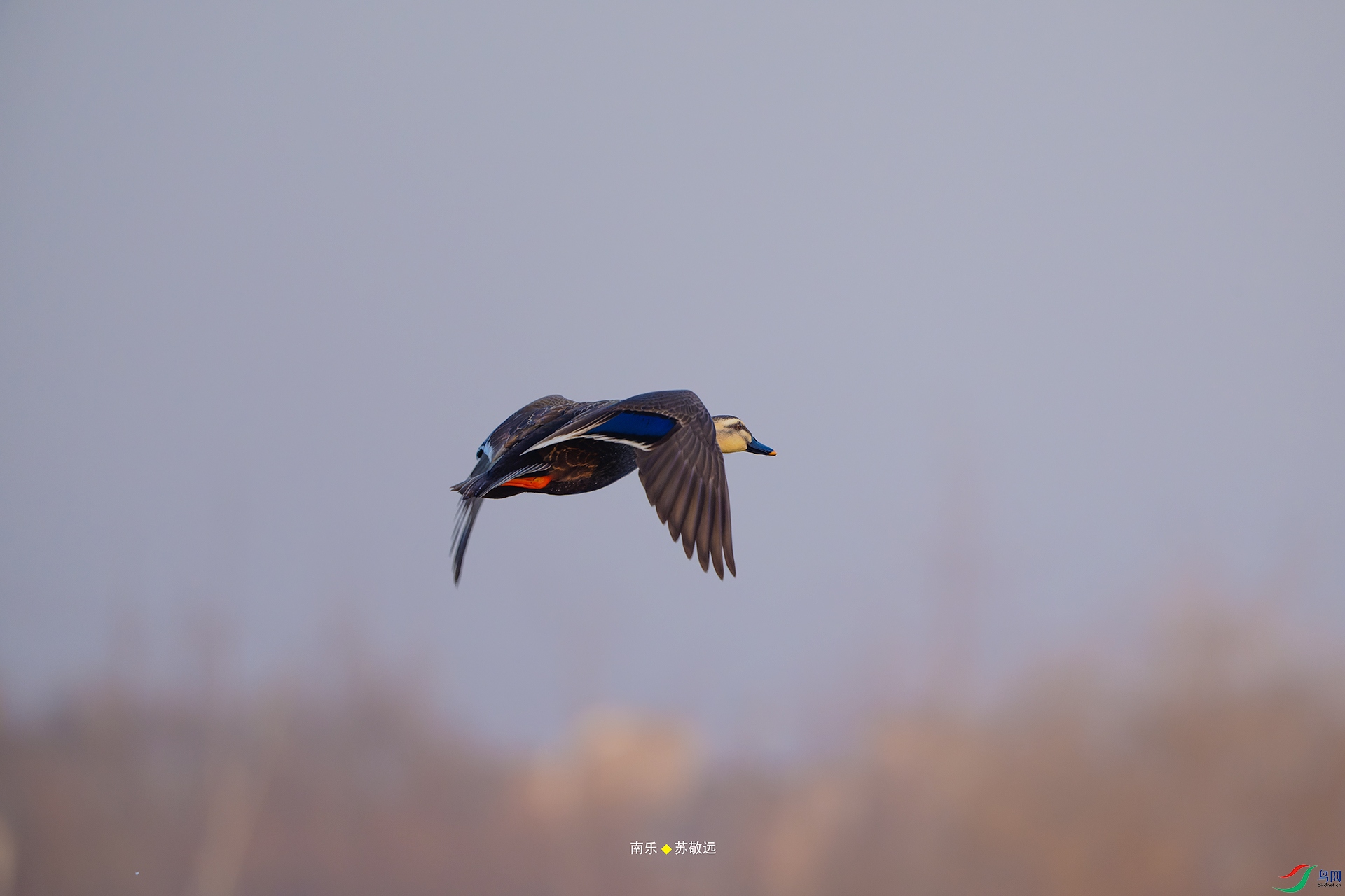 _DSC1892-NEF_DxOС.jpg