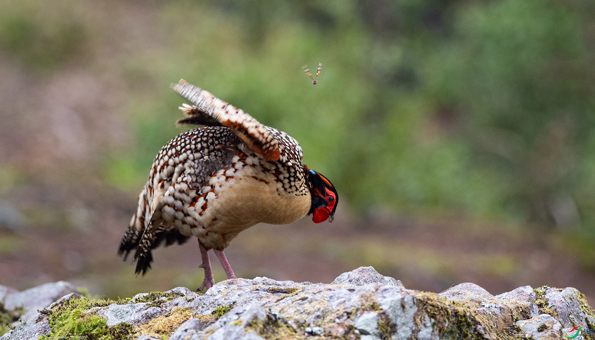 _DSC2304 ����.jpg