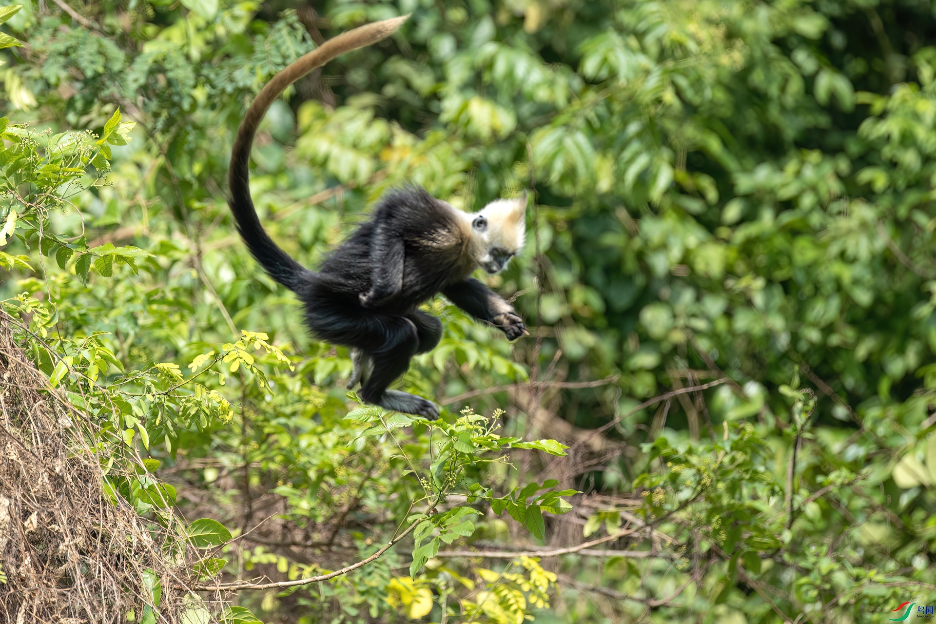 B86I3810 _����.jpg