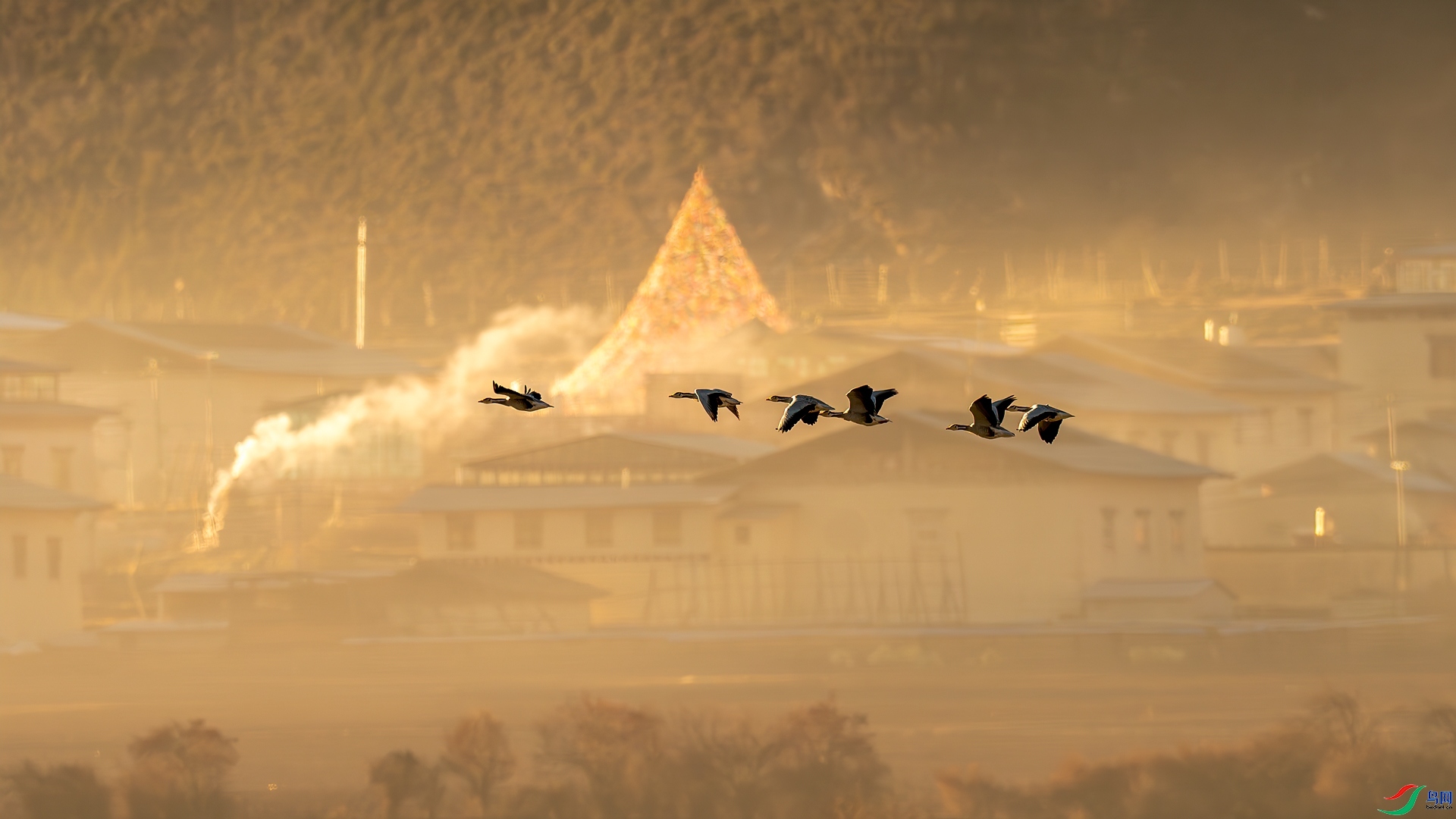 ÿ�ռ��� ��կ֮��  ���� �������� ��һ.jpg