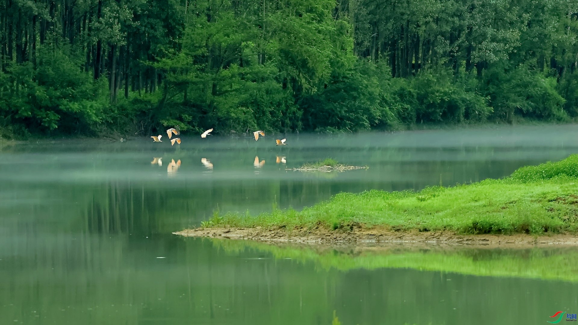 ÿ�ռ��� �����е����q  ���� 8341  ����.jpg