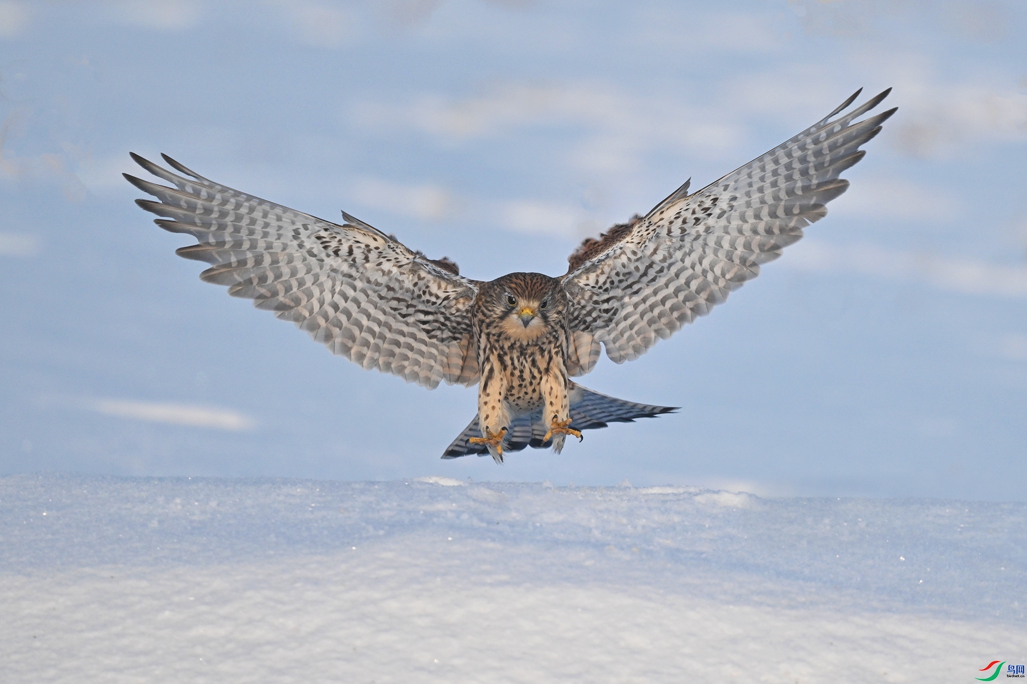 ���� ���� 0451x  ��һ.jpg