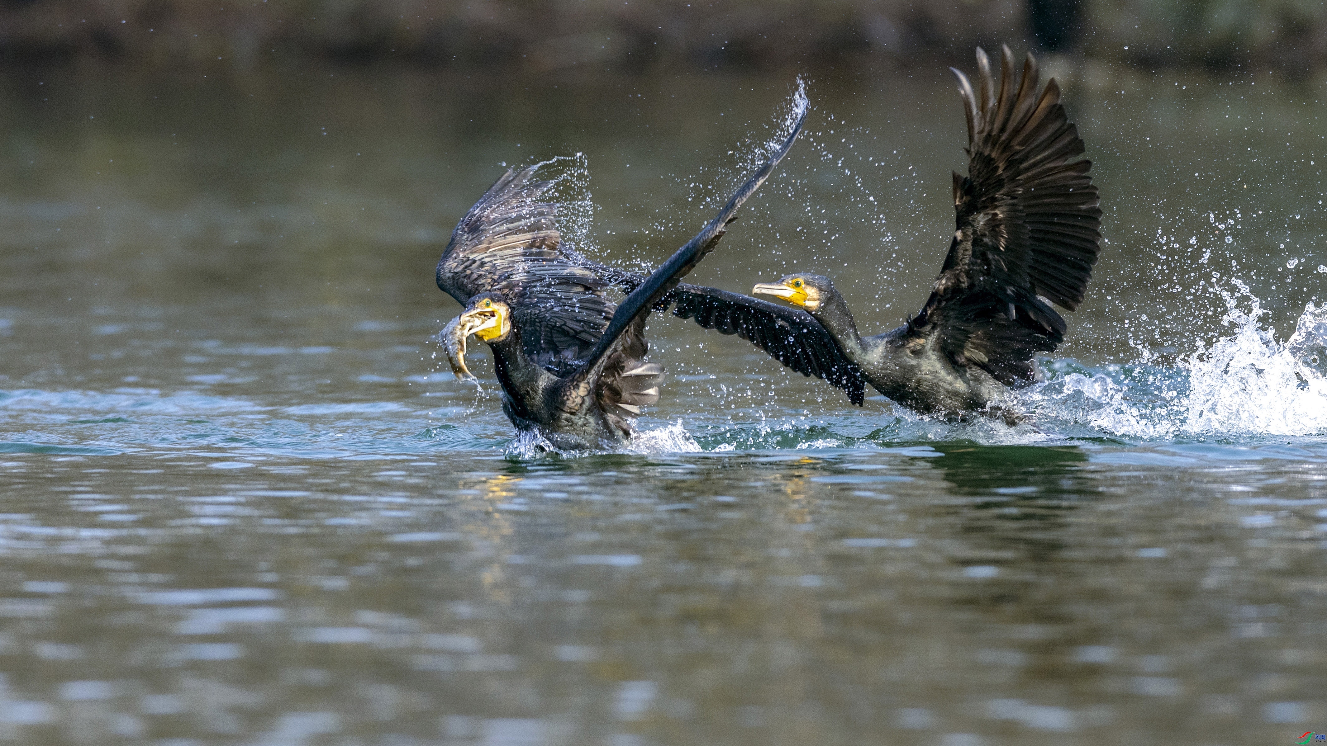 ������� ���� ������jn  �ܶ�.jpg