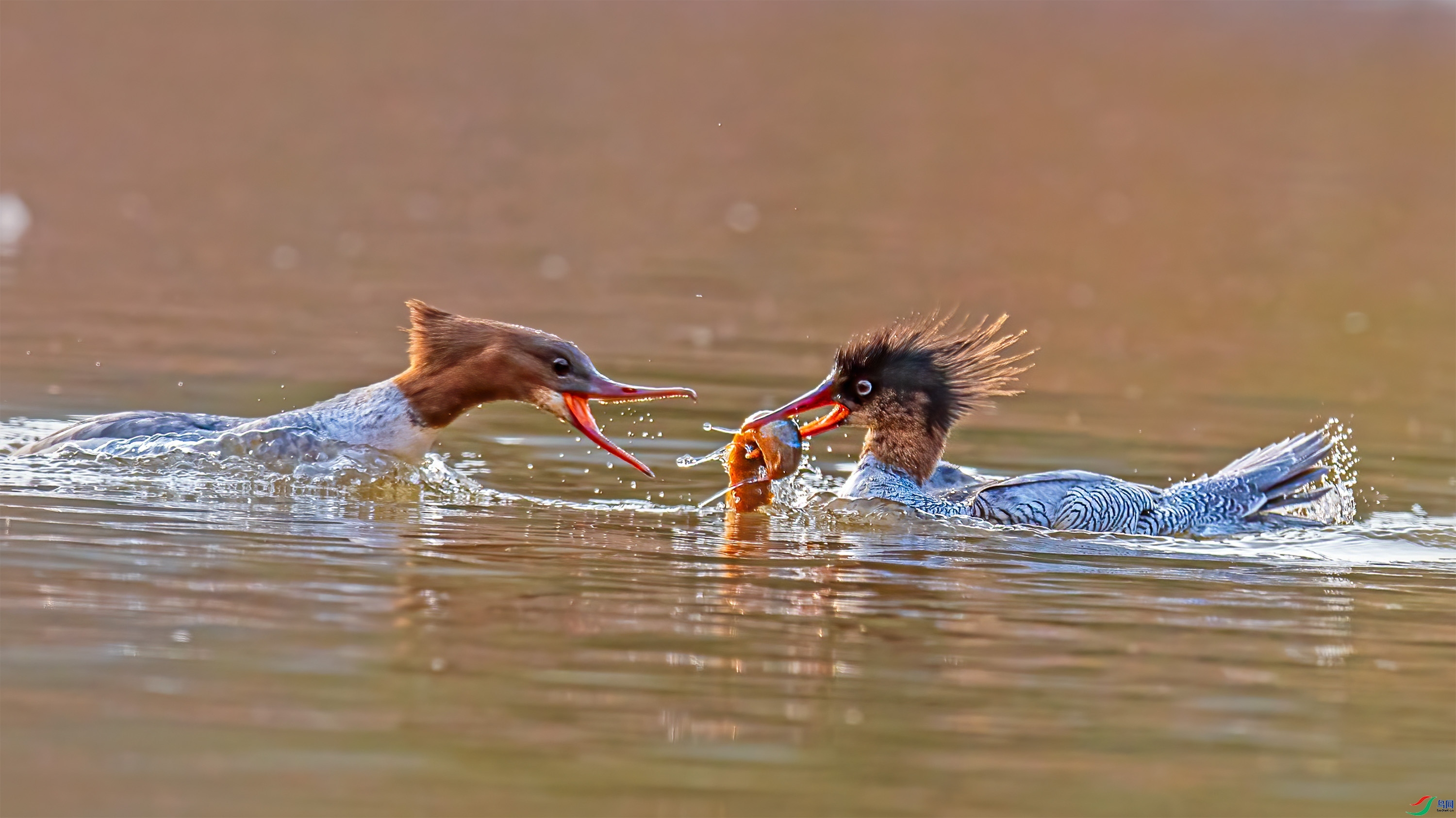 �л���ɳѼ ���� wh�ϳ� �ܶ�.jpg