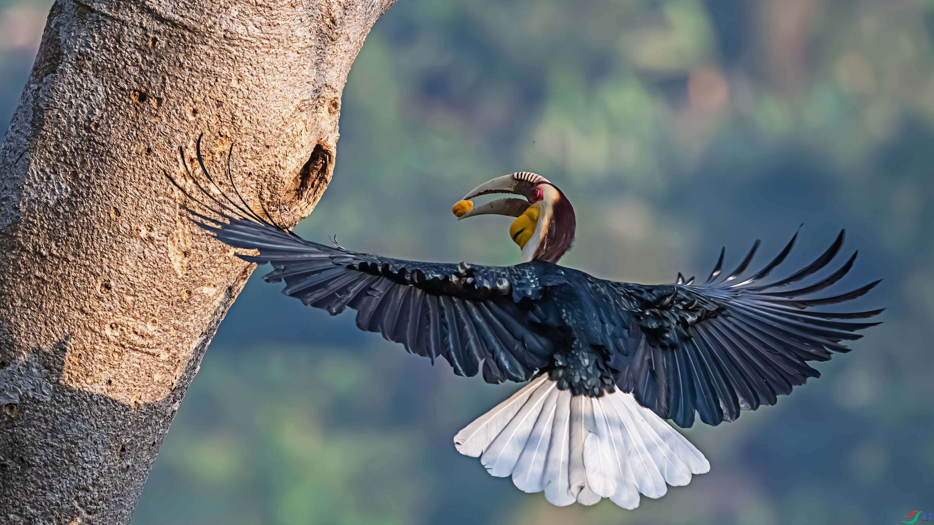 ���ķ��� ���� ������ͷ ����.jpg