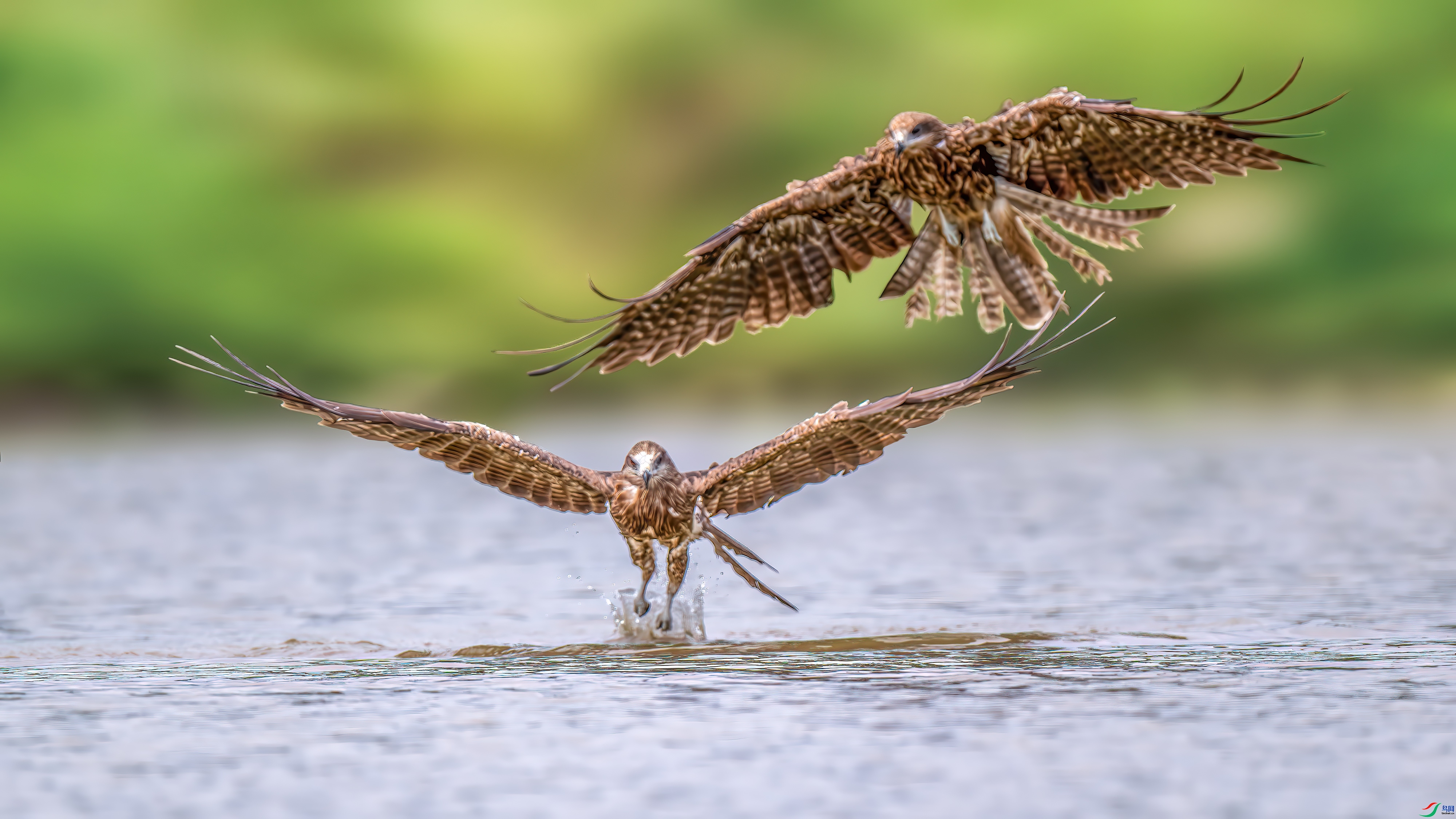 ��� ���� ��ѧ�� ����.jpg