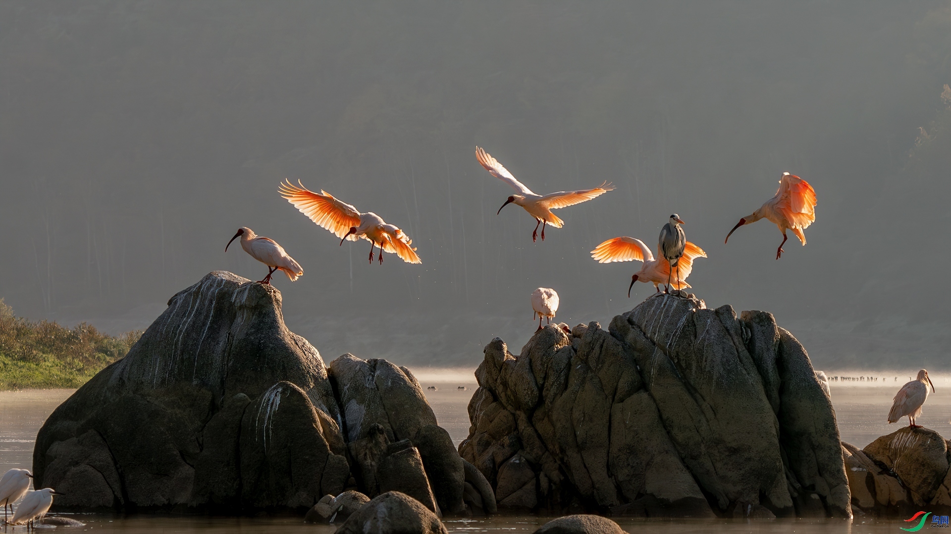 Ѱ��λ ���� �������� ����.jpg