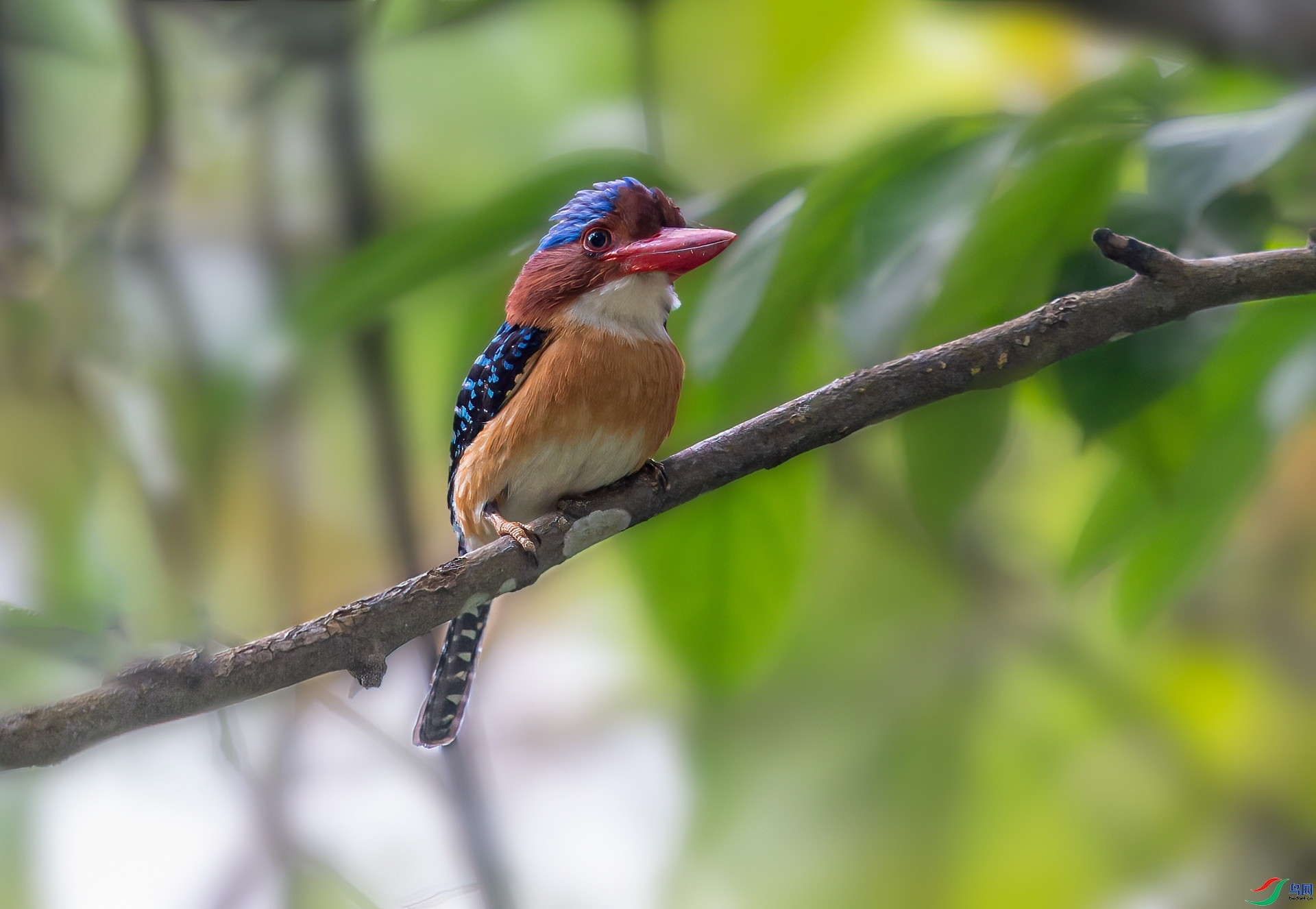 ռ֦��   ���� ���� ����.jpg