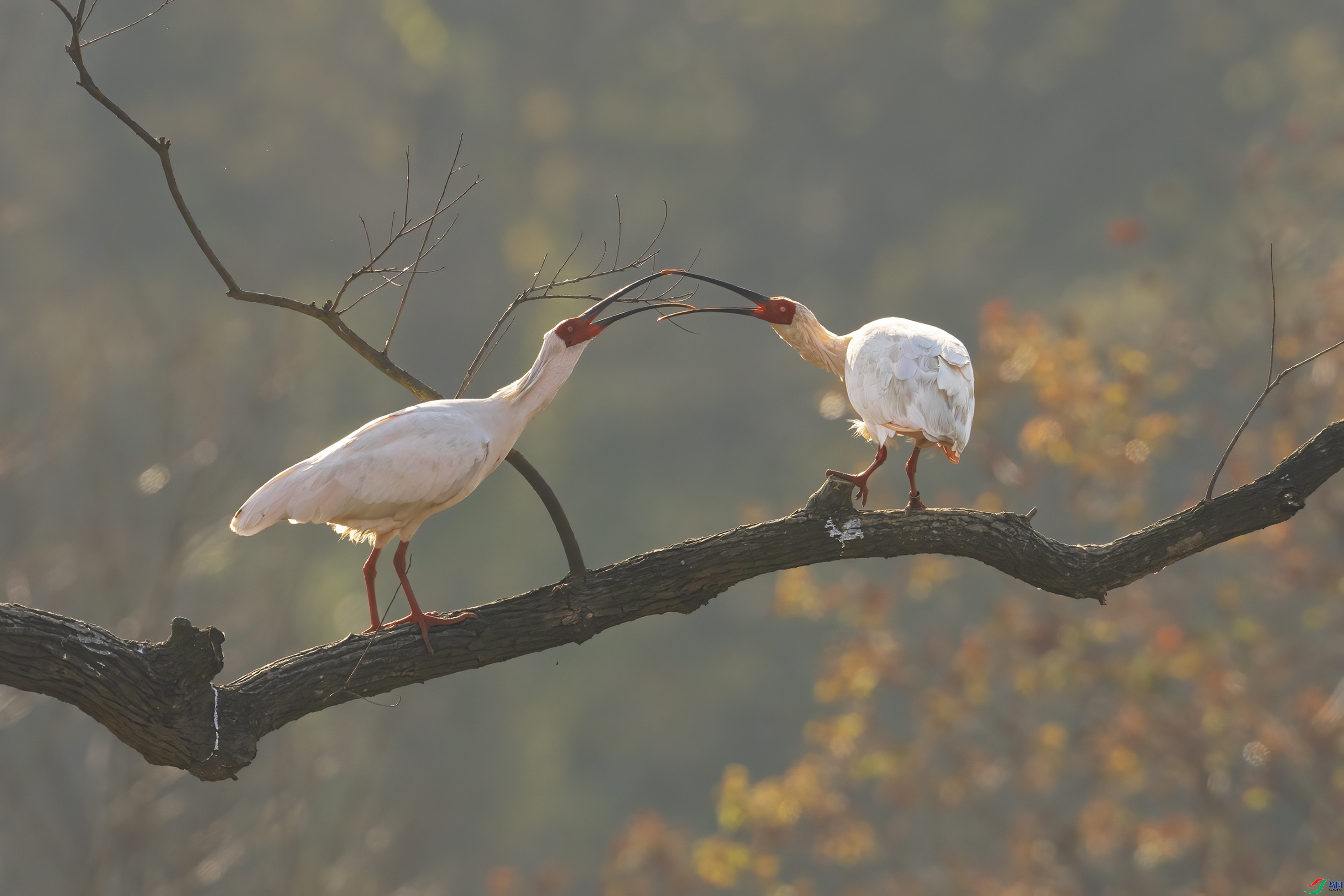 ����  ���� ����· ����.jpg