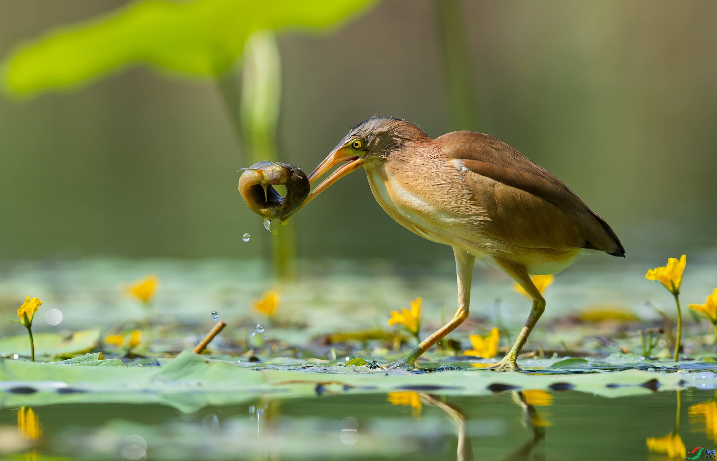 ����Ȧ��  ���� һ·���� ����.jpg