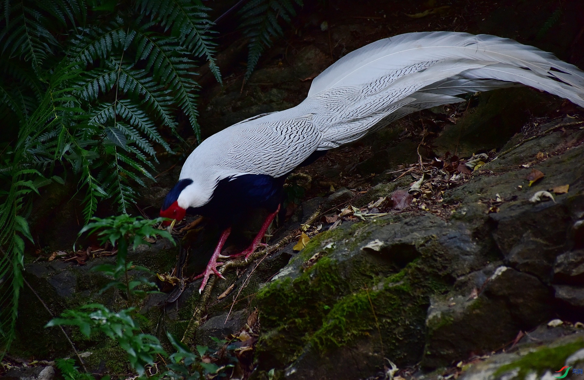 D8I_6318.jpg