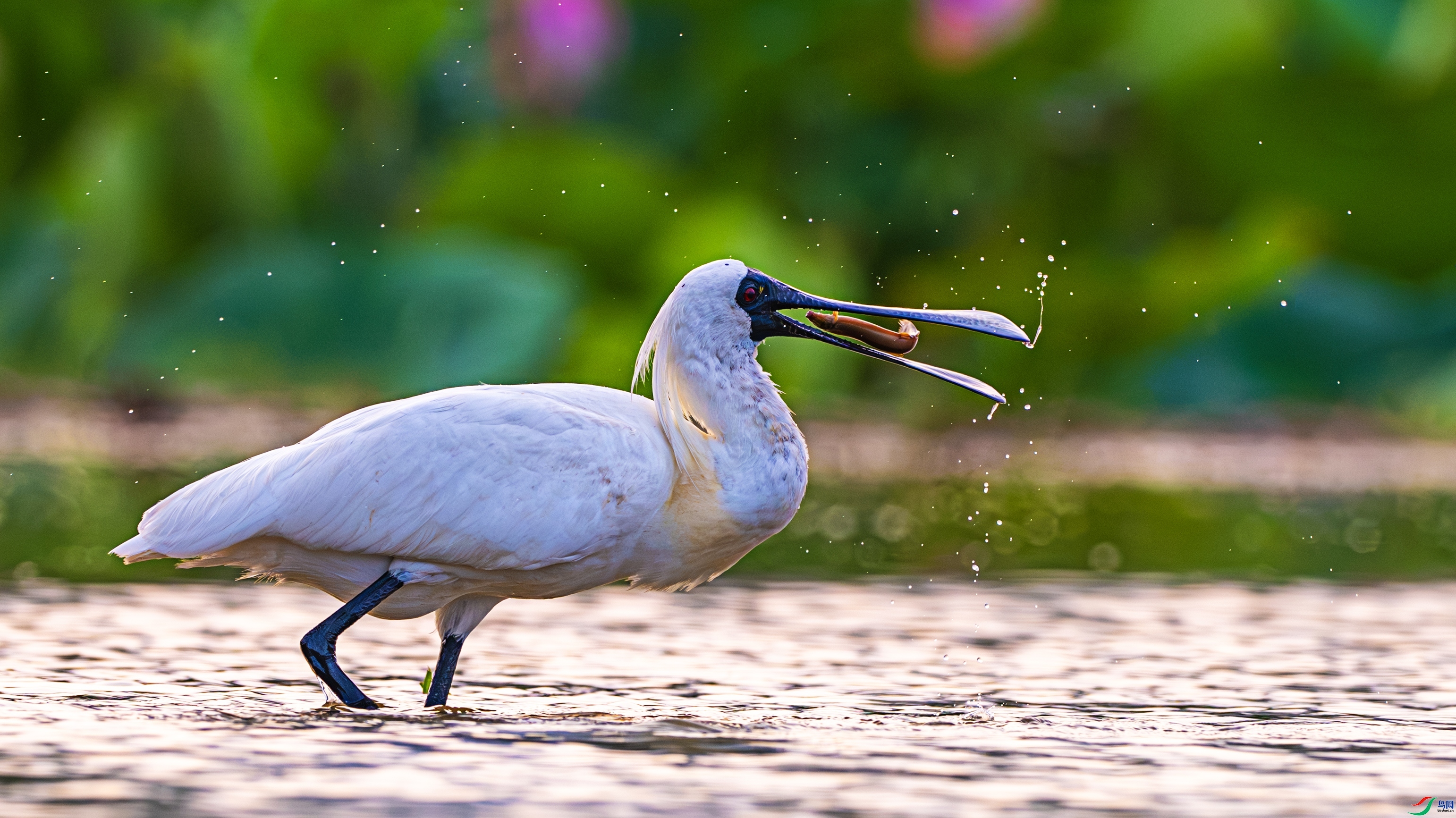 �������� ���� ������ͷ ����.jpg