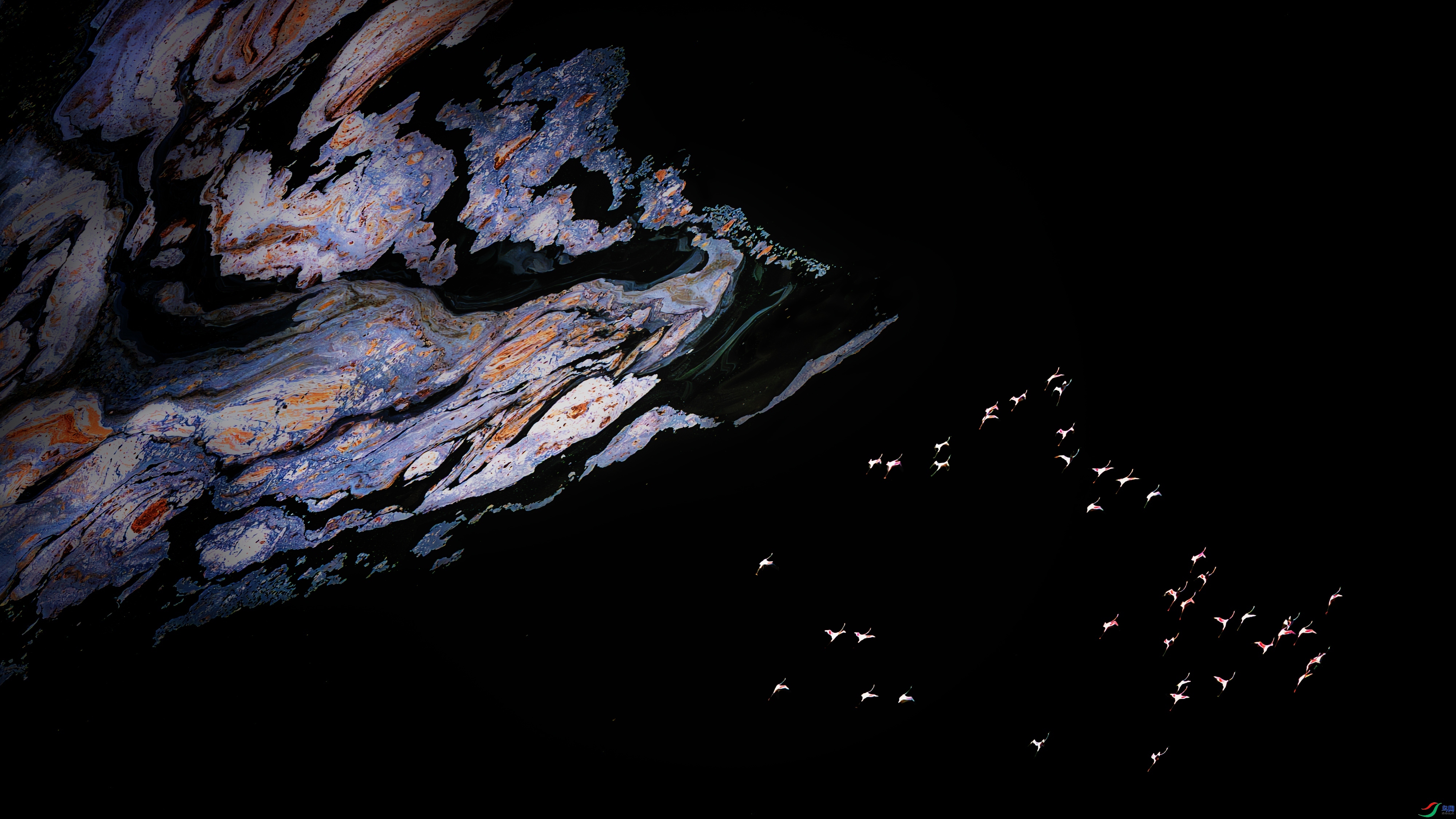 �����������Ĺ�Ӱ  ���� ���� ����.jpg