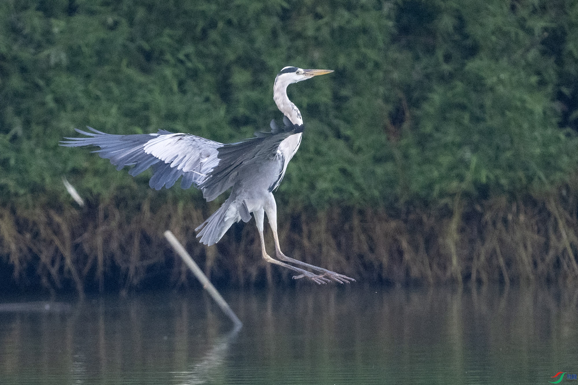 DSC_0197.jpg