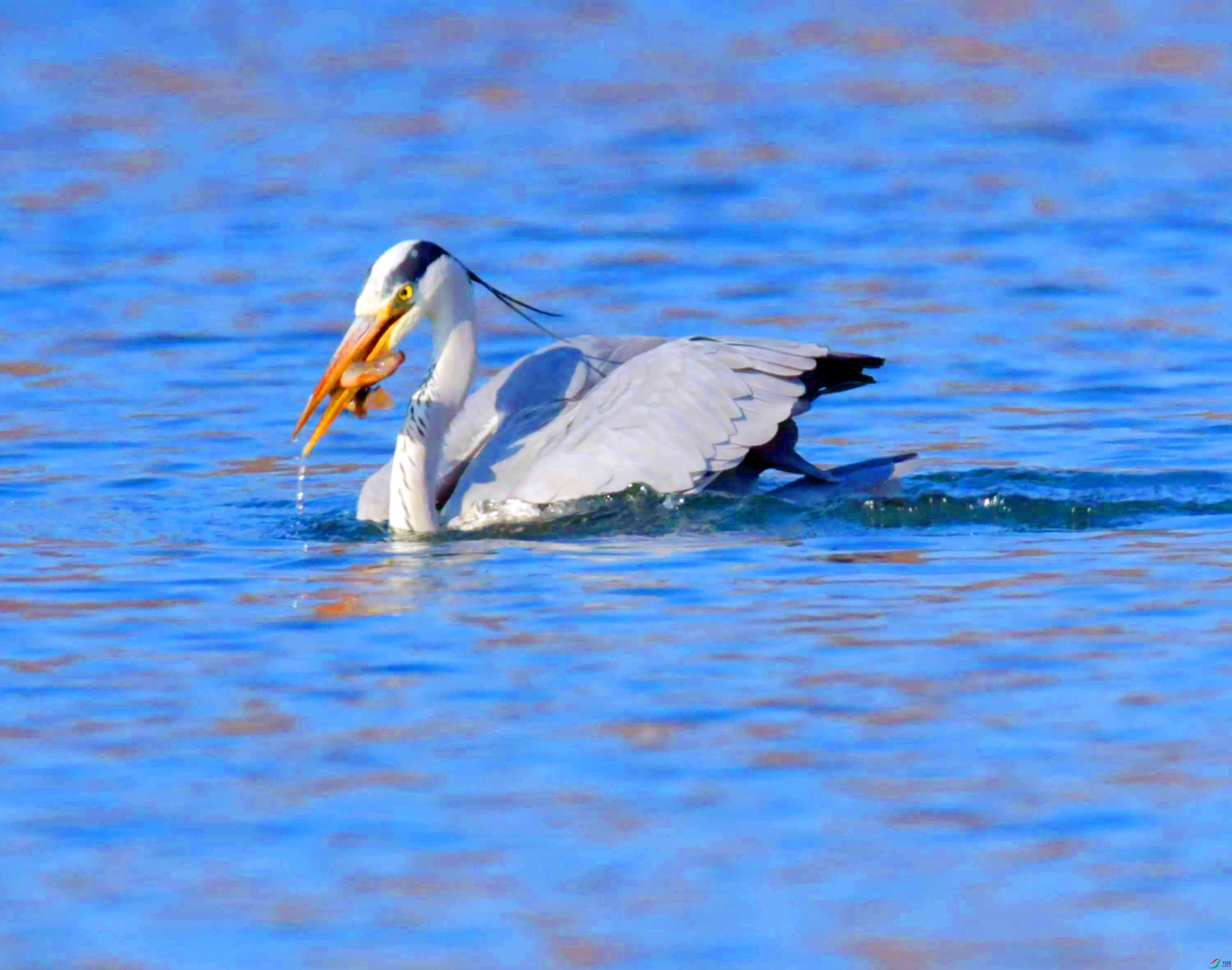 DSC_2324.JPG