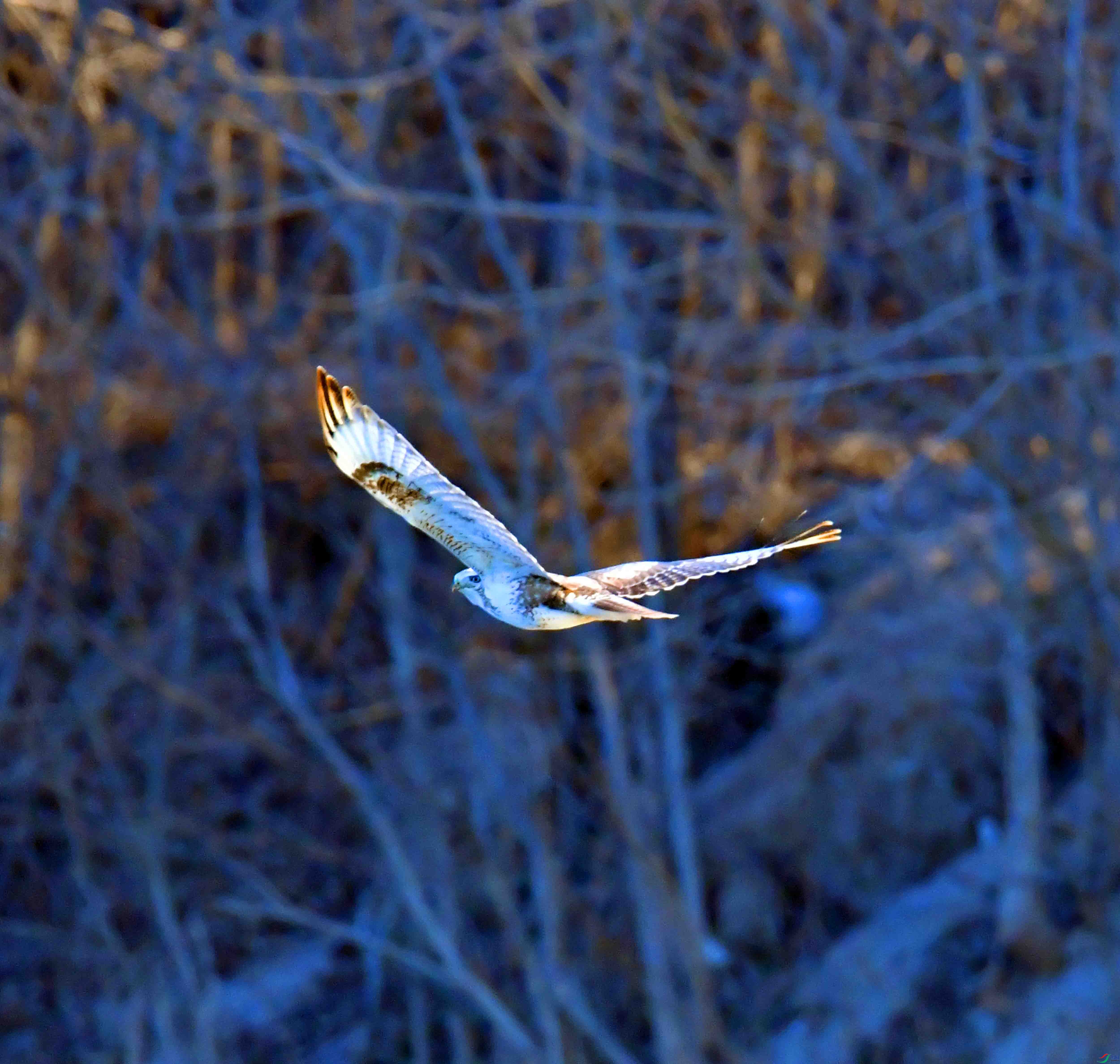DSC_0023.JPG