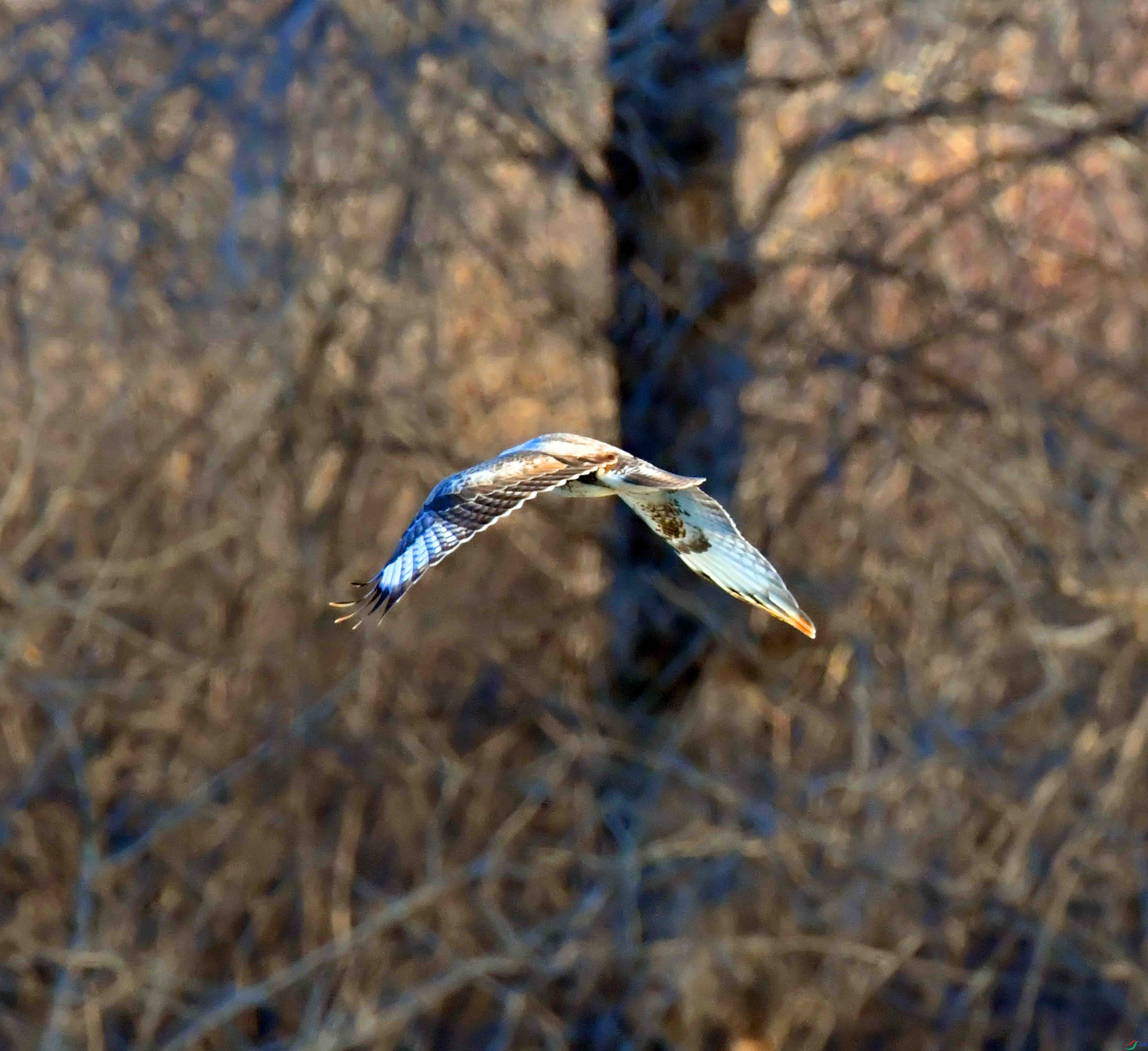 DSC_0030.JPG