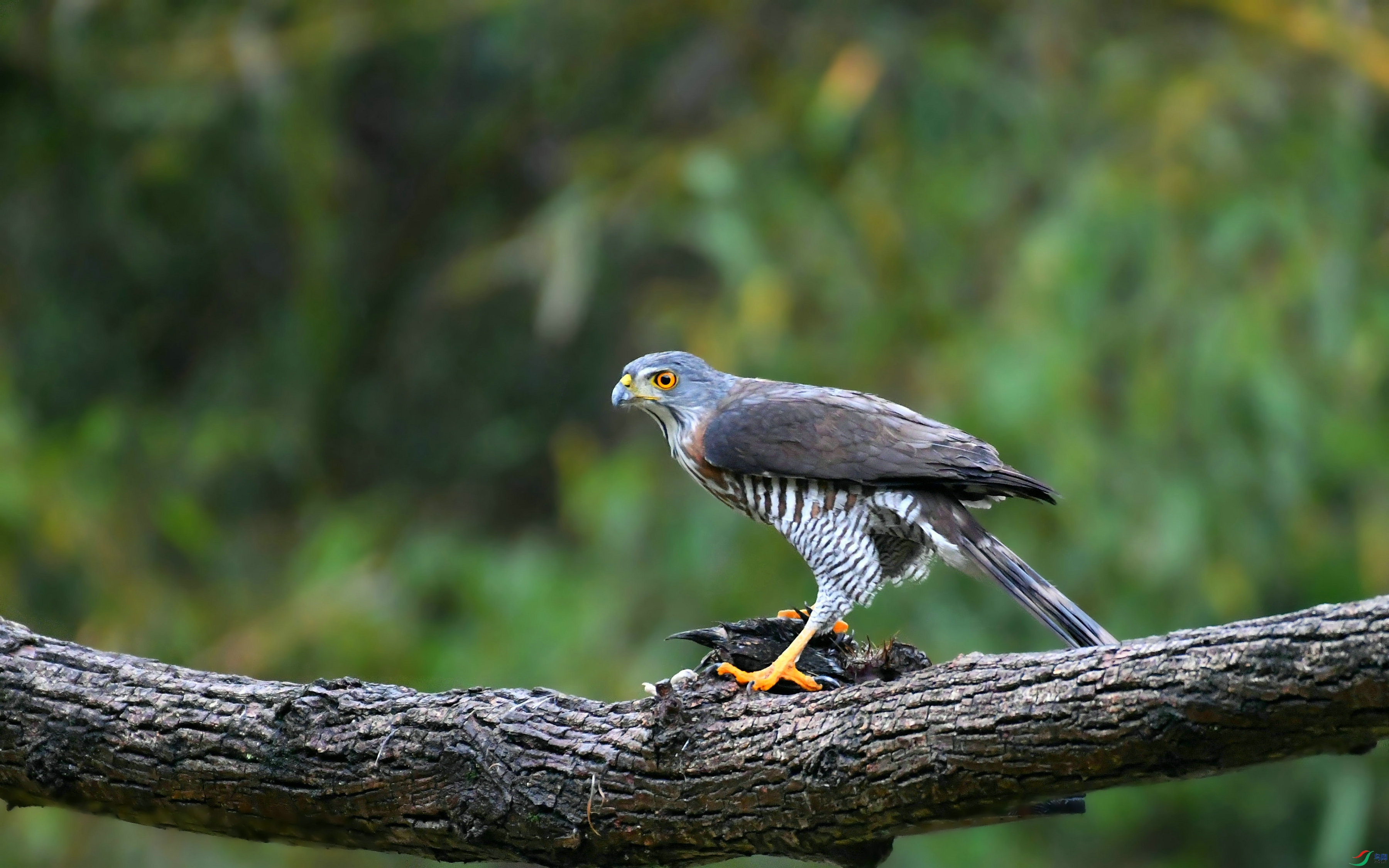 DSC_1837.JPG