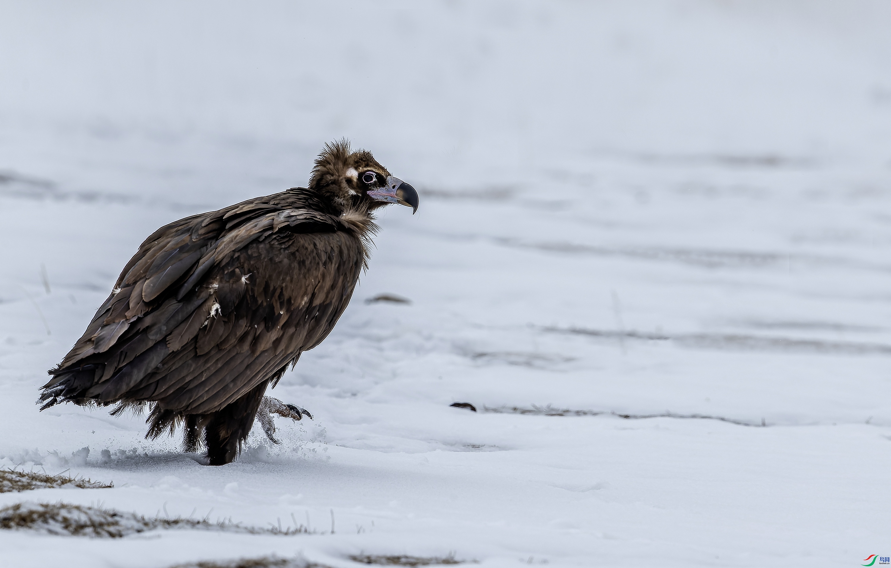 ͺ�� 3 (14)-1.jpg