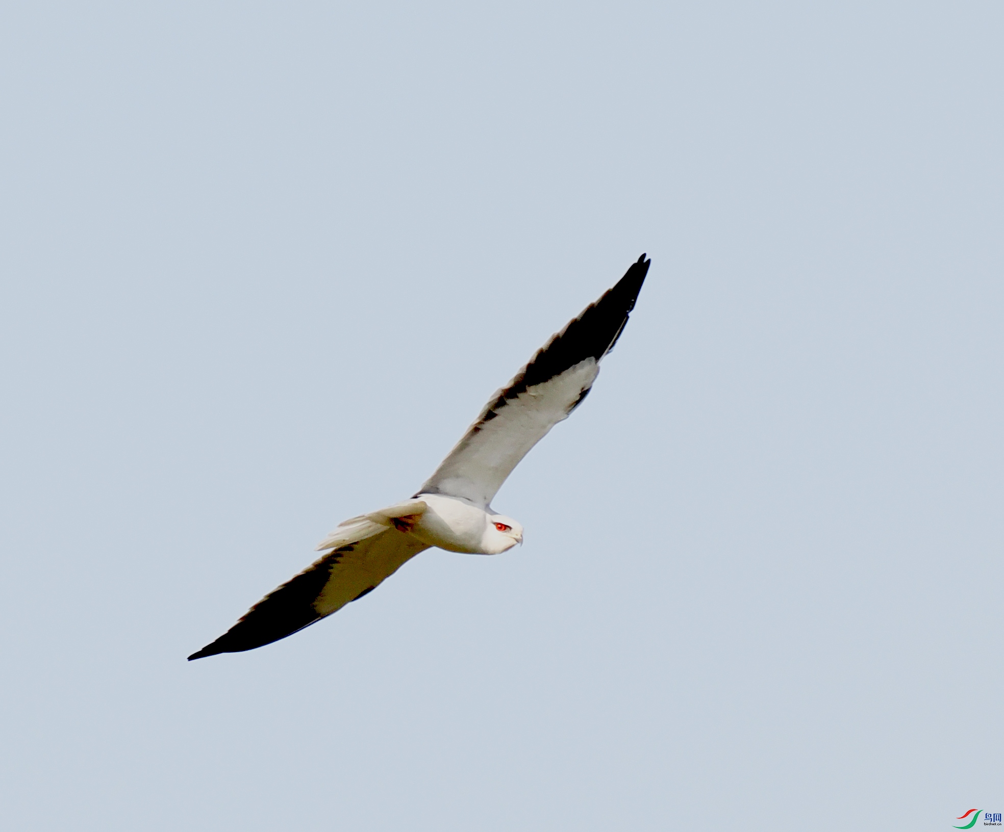 P1090285--hz.jpg