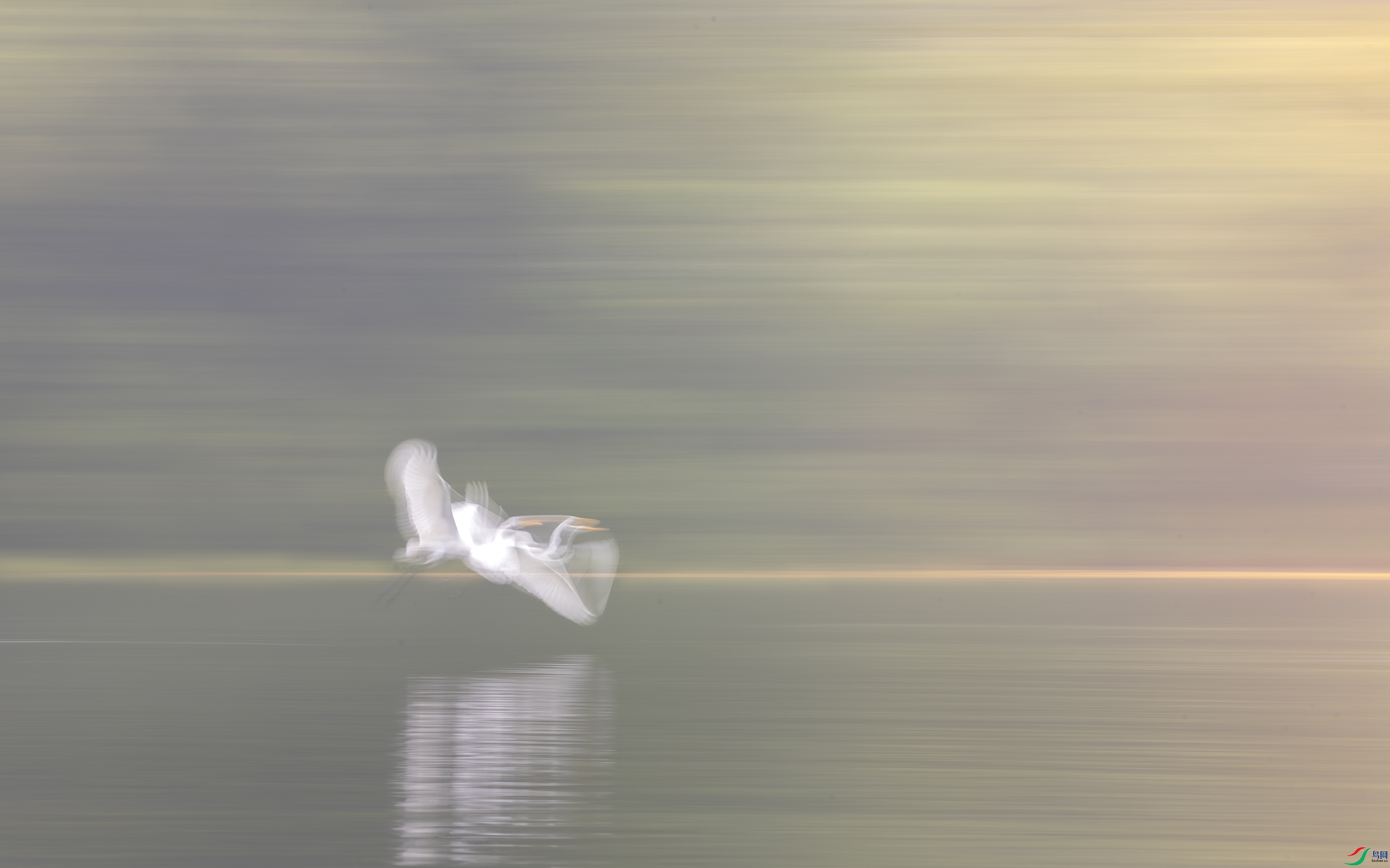 A15I3333-����ǿ-NR ����.jpg