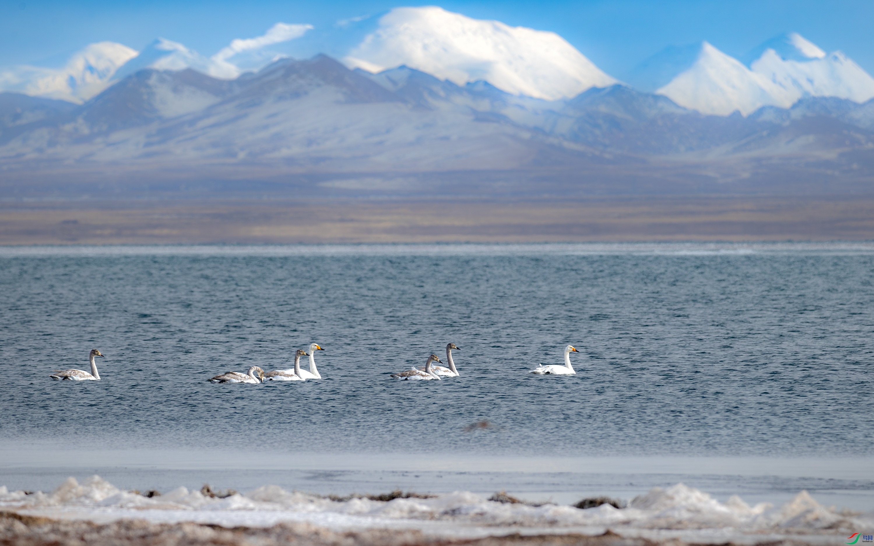 A15I7443-����ǿ-NR ����.jpg