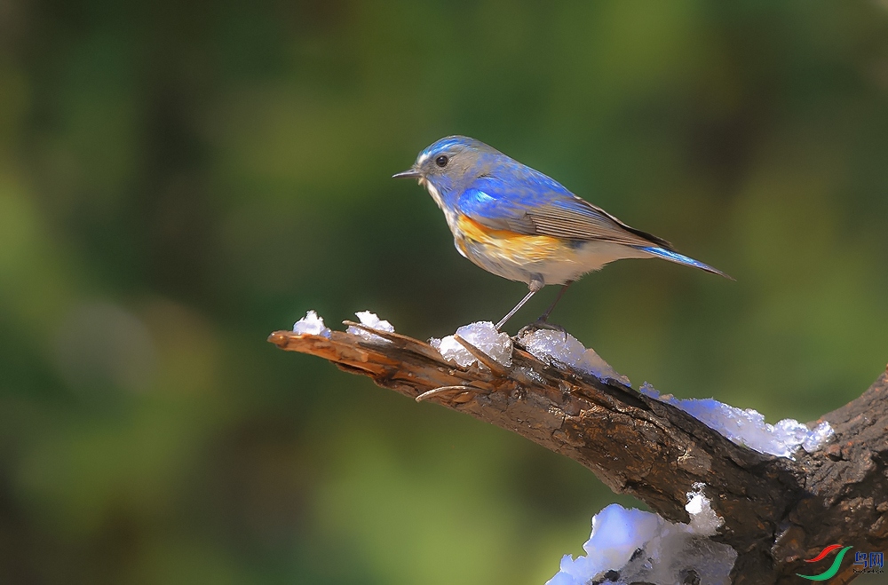DSC_9381.jpg