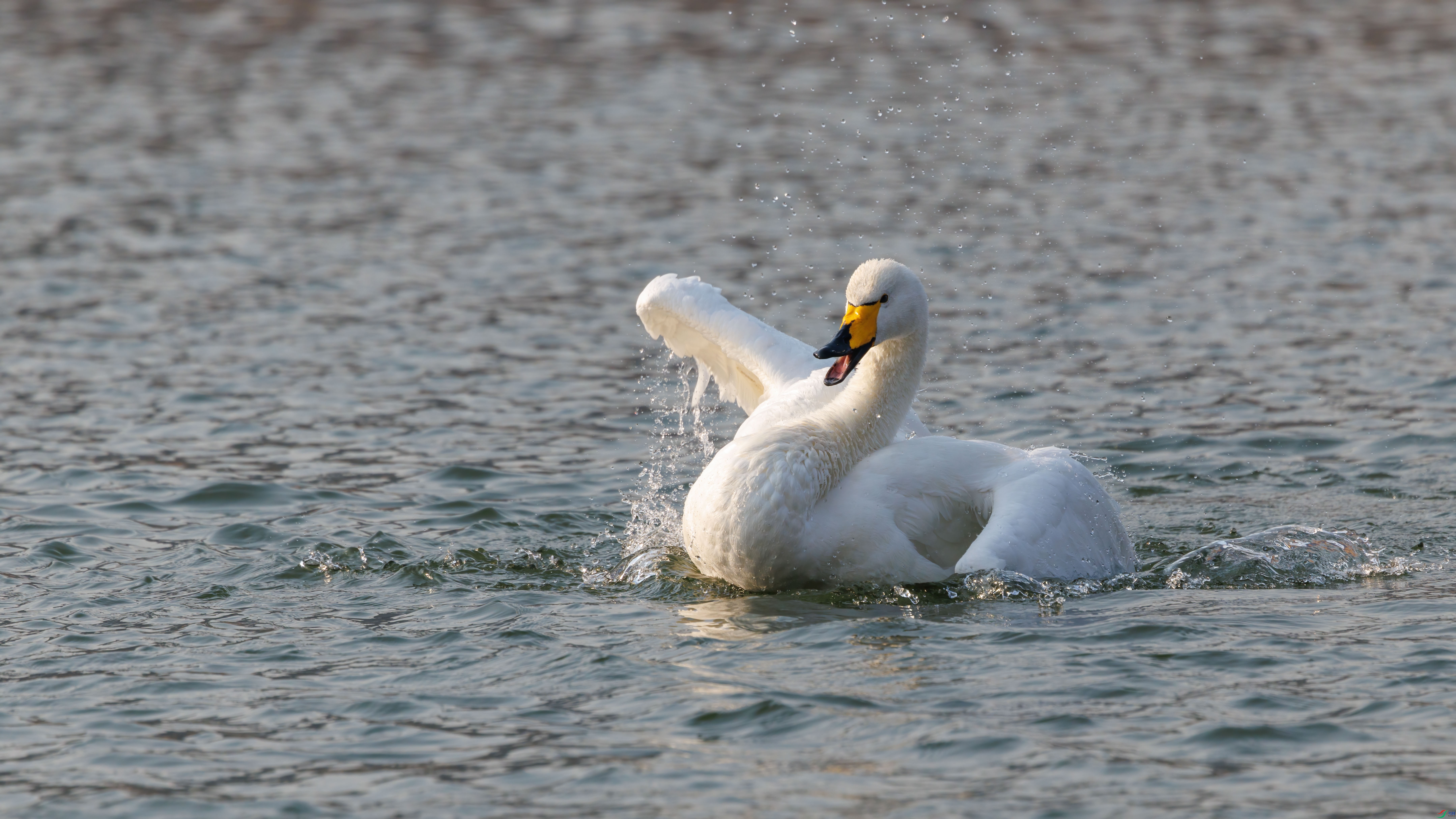 2I7A4095 ����.jpg