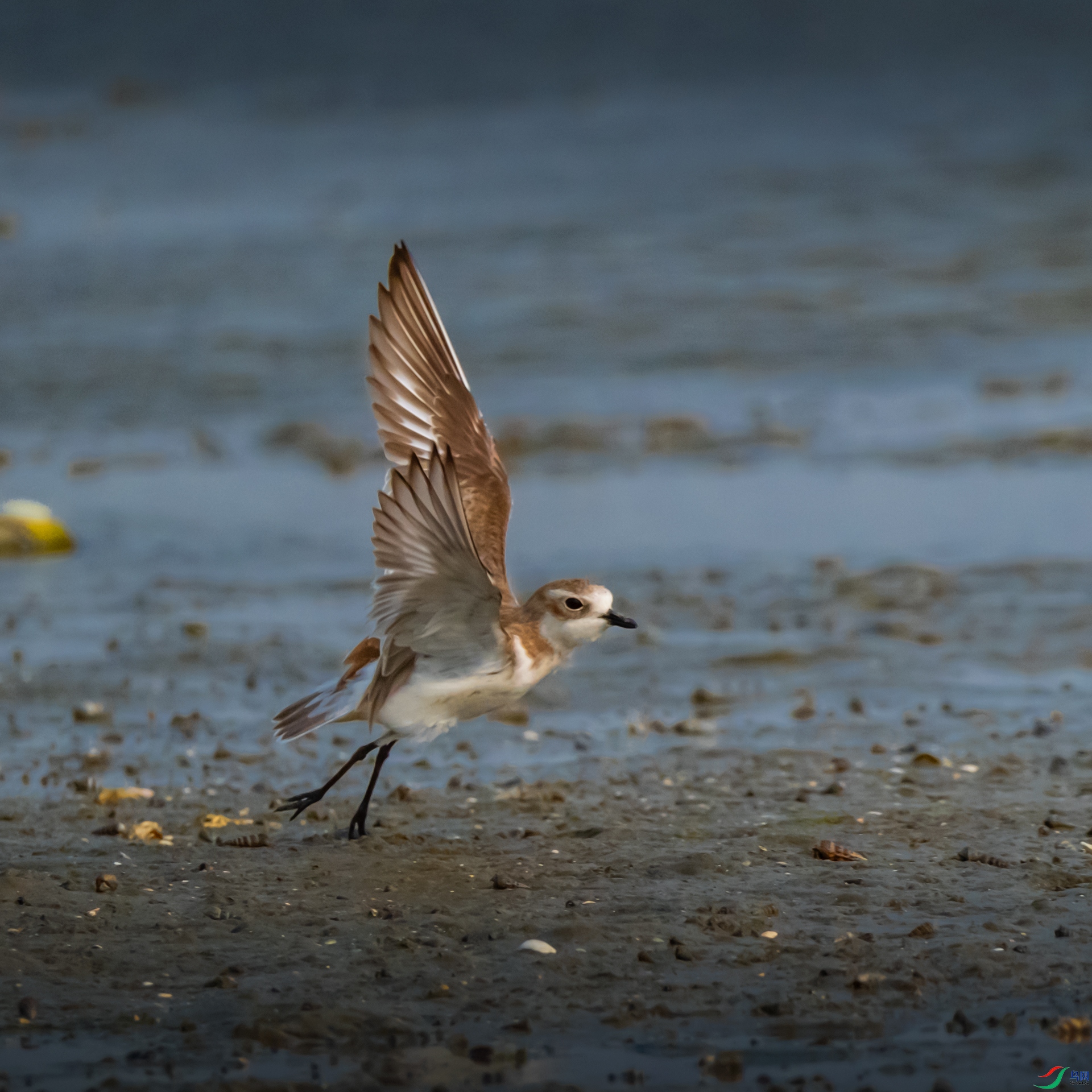 ��������� ��_��������(1).jpg