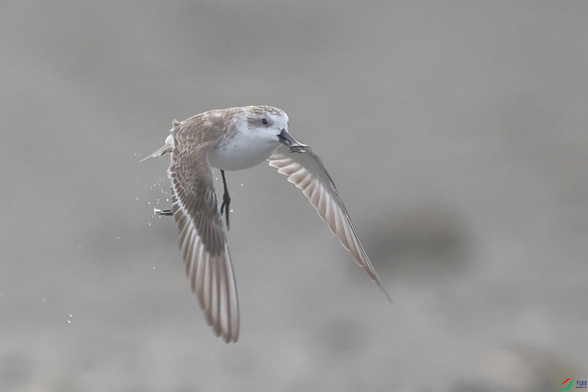 4�� ������ �����ˡ�.jpg