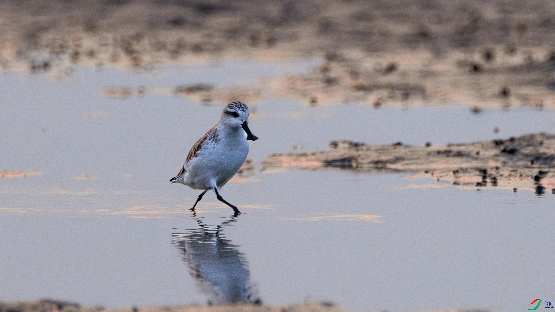 6�� �۷� �������֡�.jpg