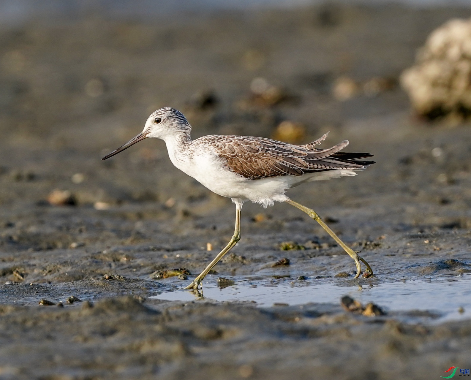 7�� ����ũ������֡�.jpg