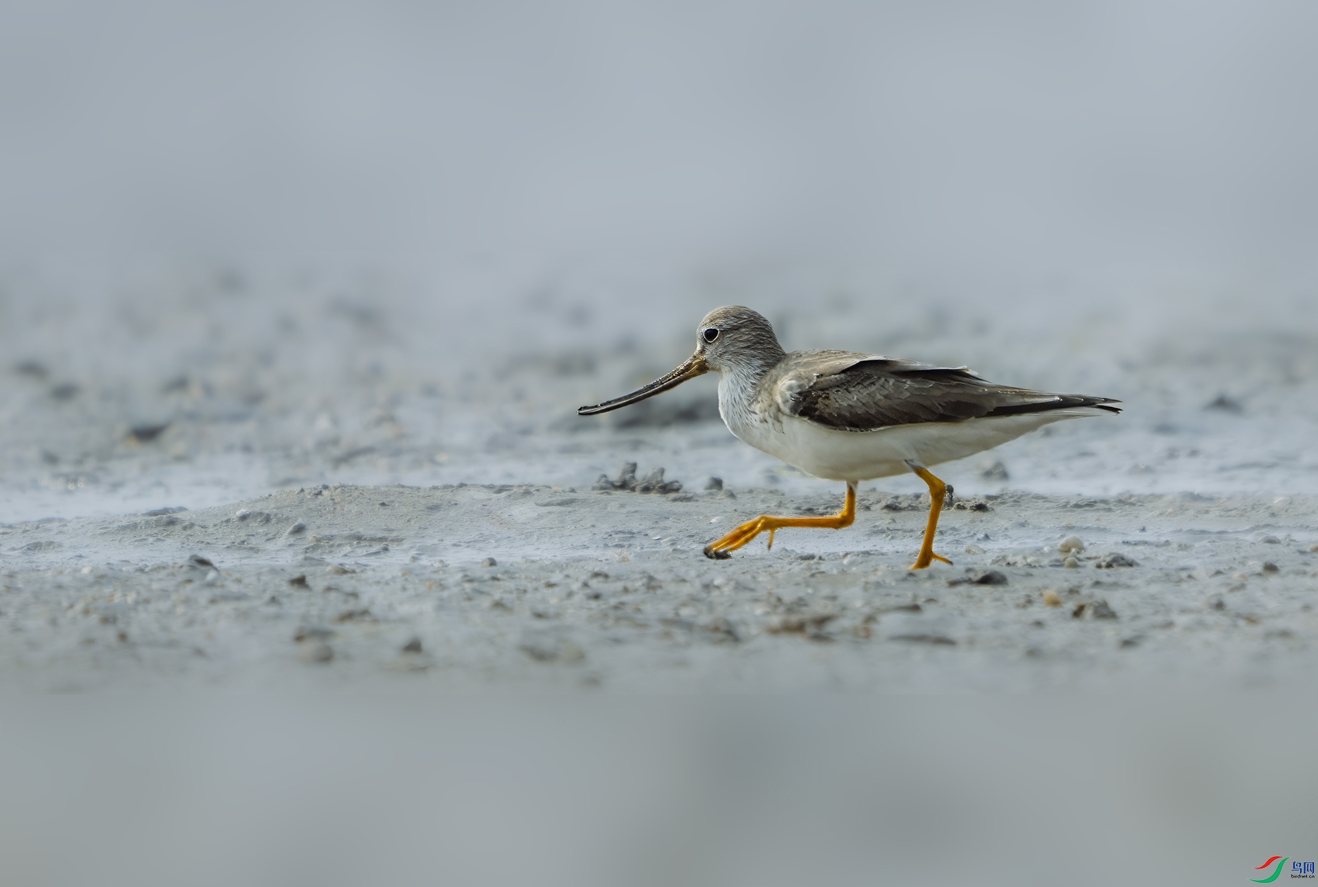 15�� �ź�÷ �������֡�.jpg