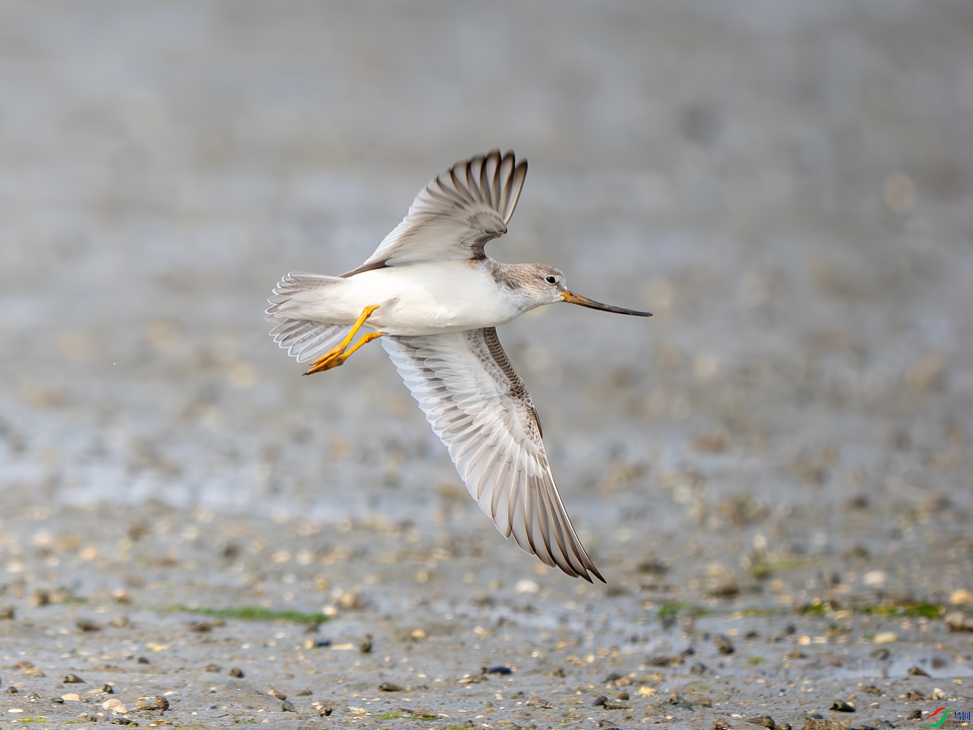 ��� ��8�� ����18�����֣�.jpg