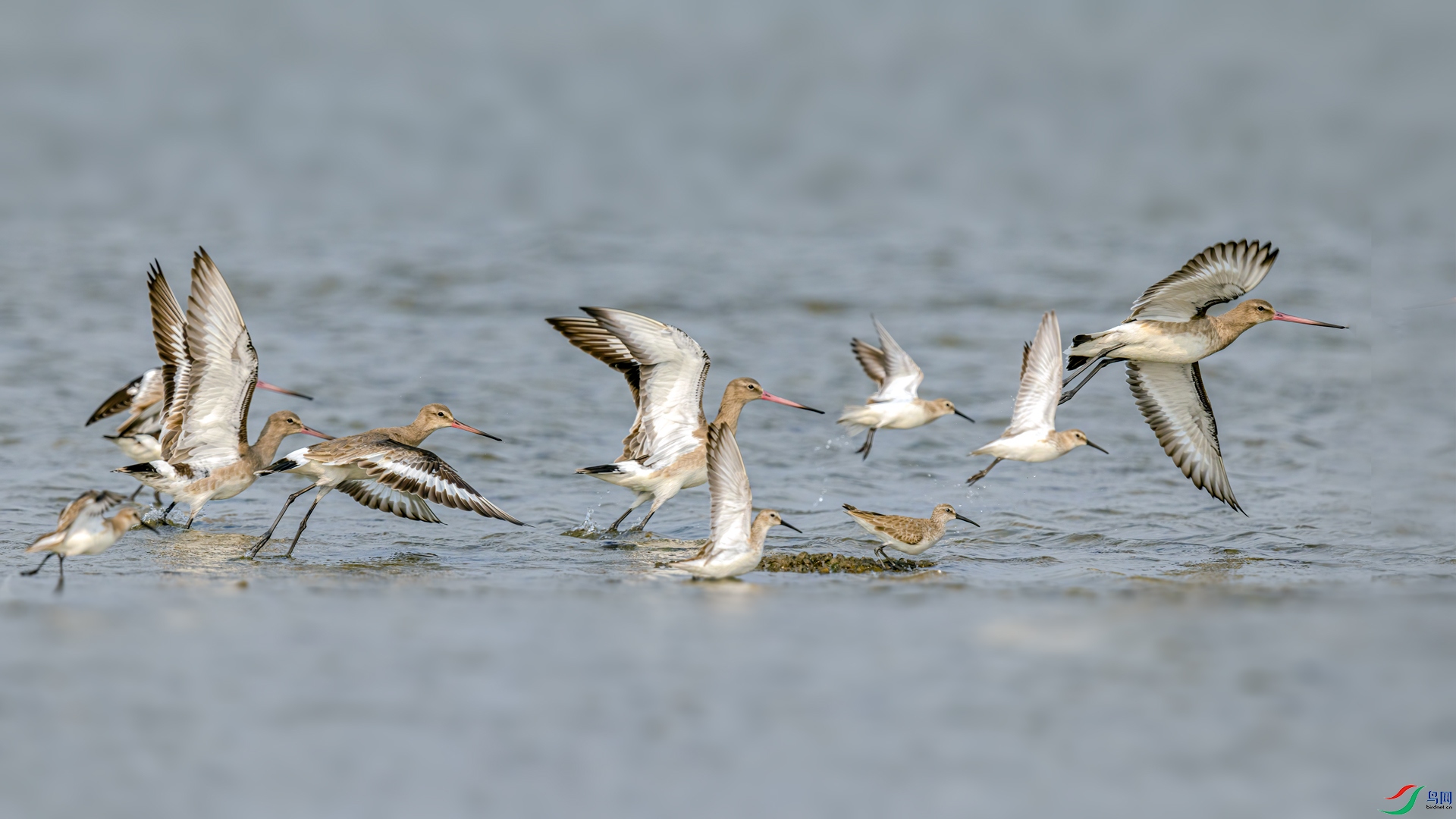 ���� ��ף�����ڷɸ���һ��¥ ������.jpg