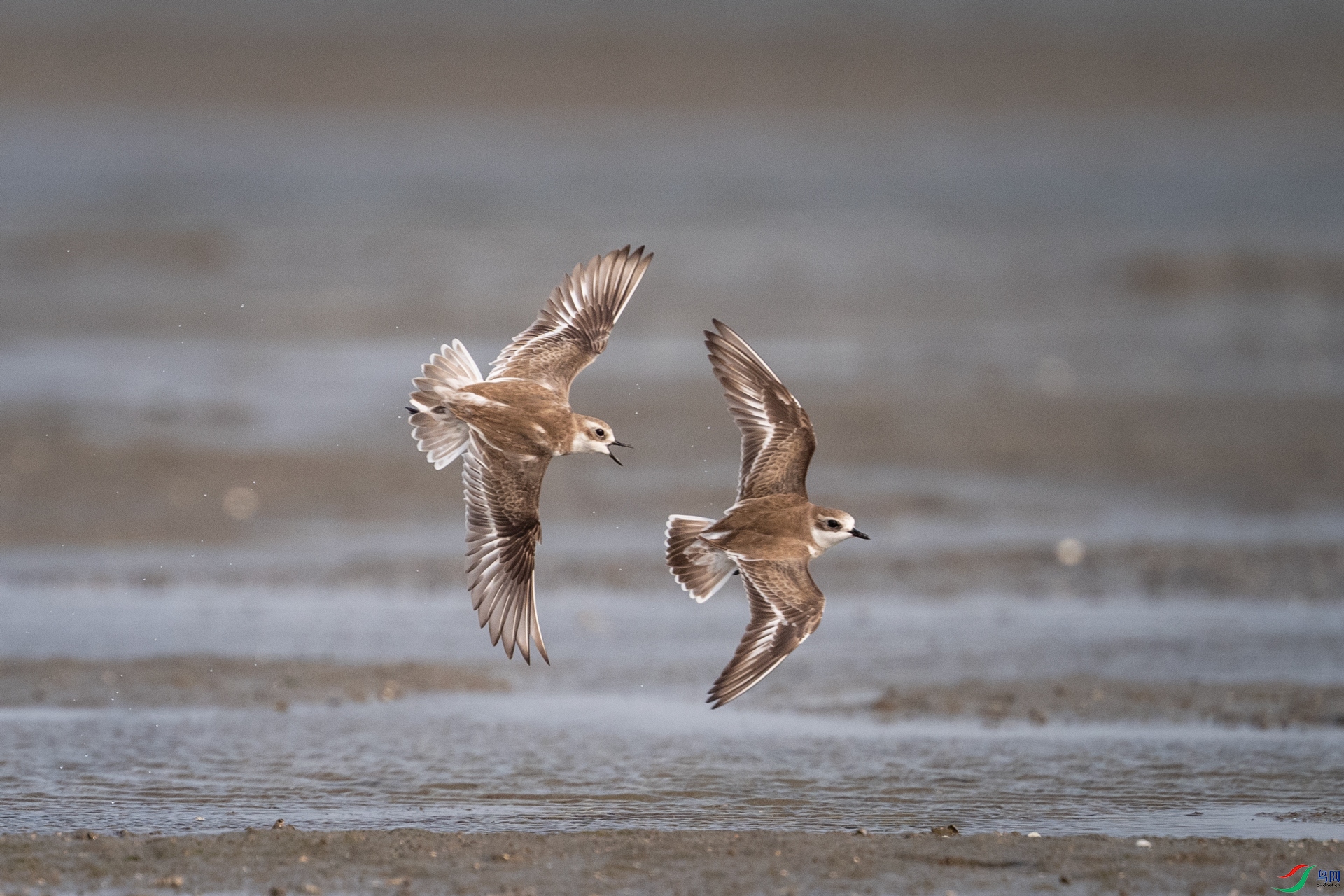 �Ķ��� 15 ����.jpg