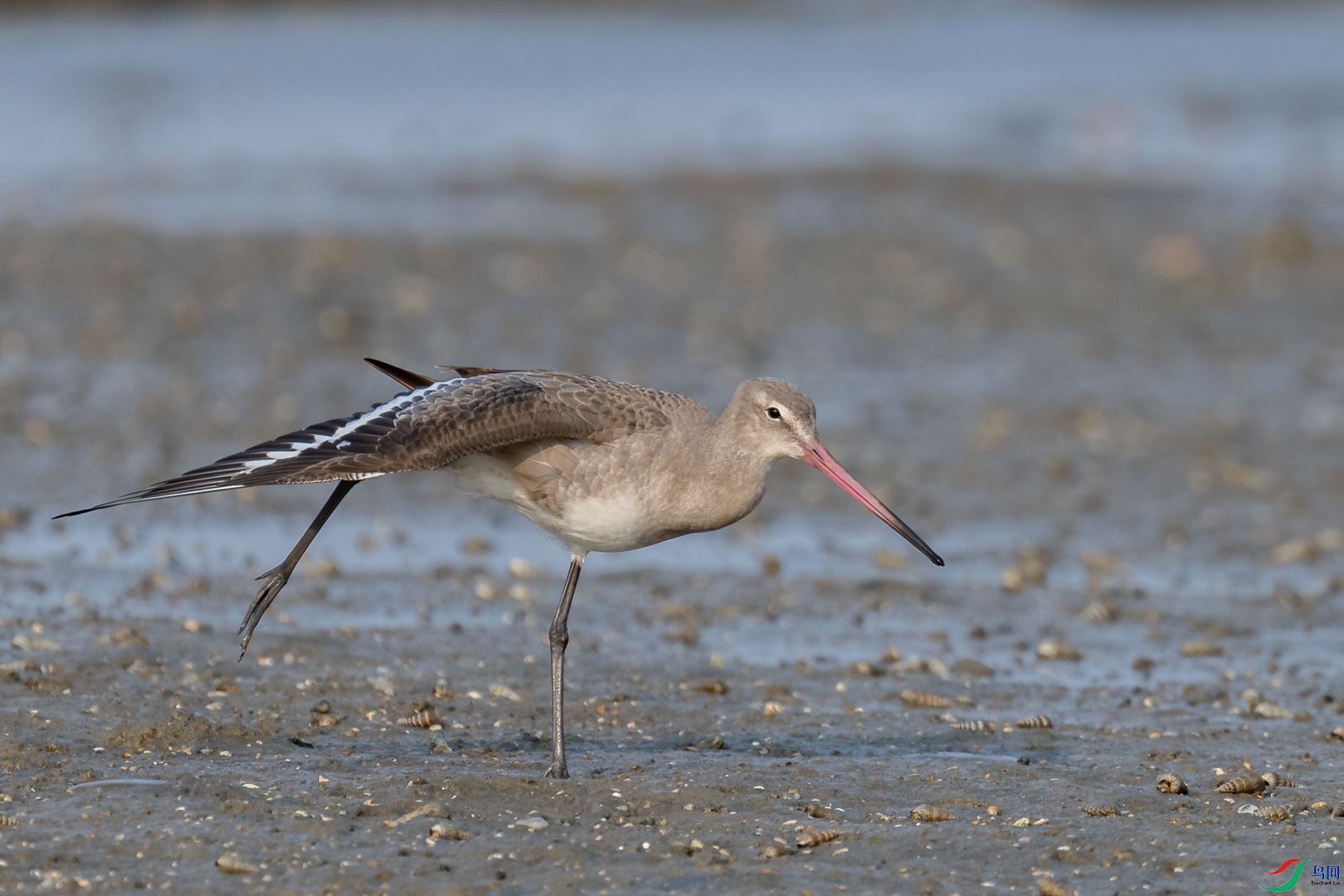 ��չ�˶� 5 ��ΰ�����ϣ�JPg.JPG